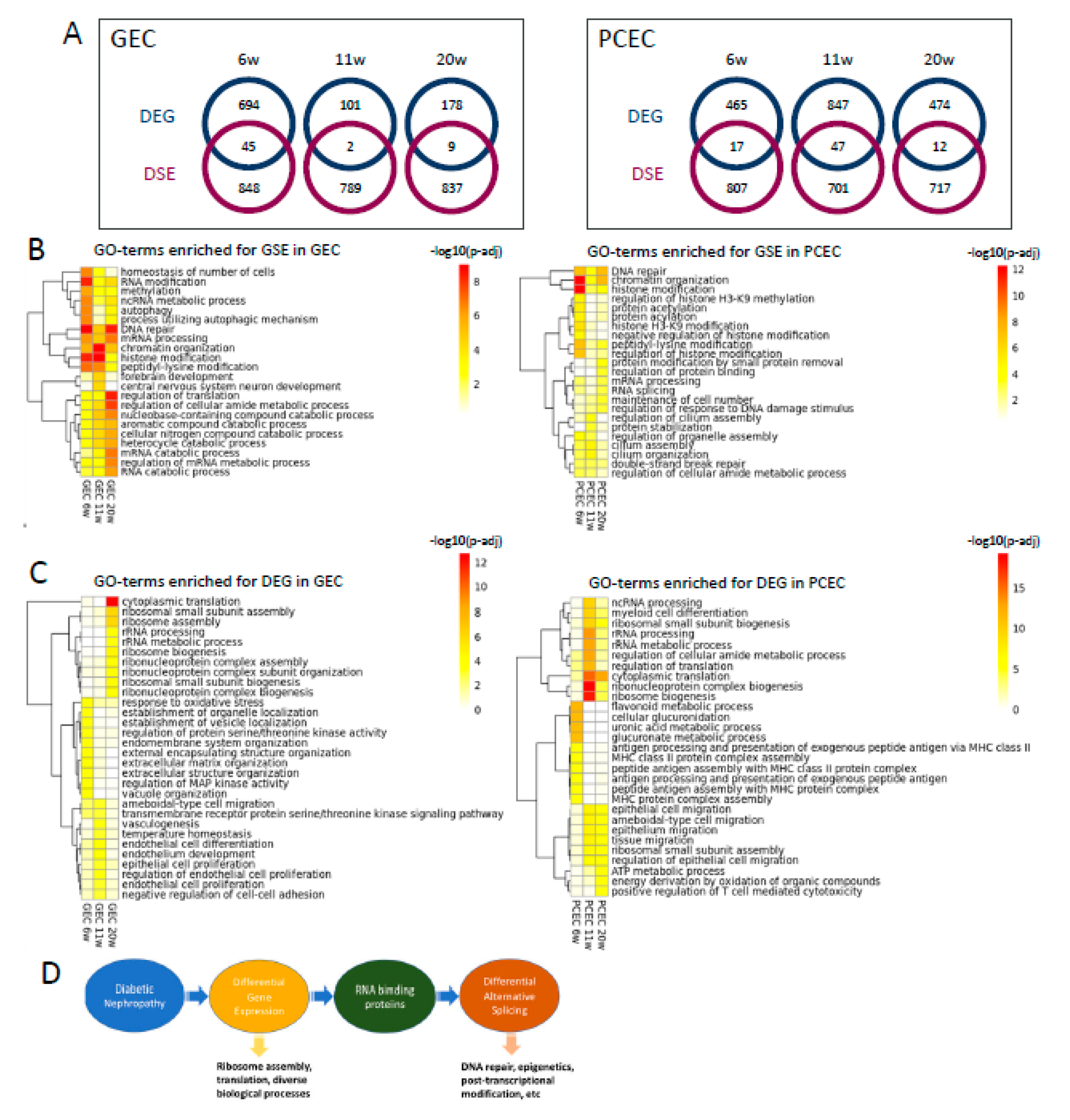 Preprints 102199 g007