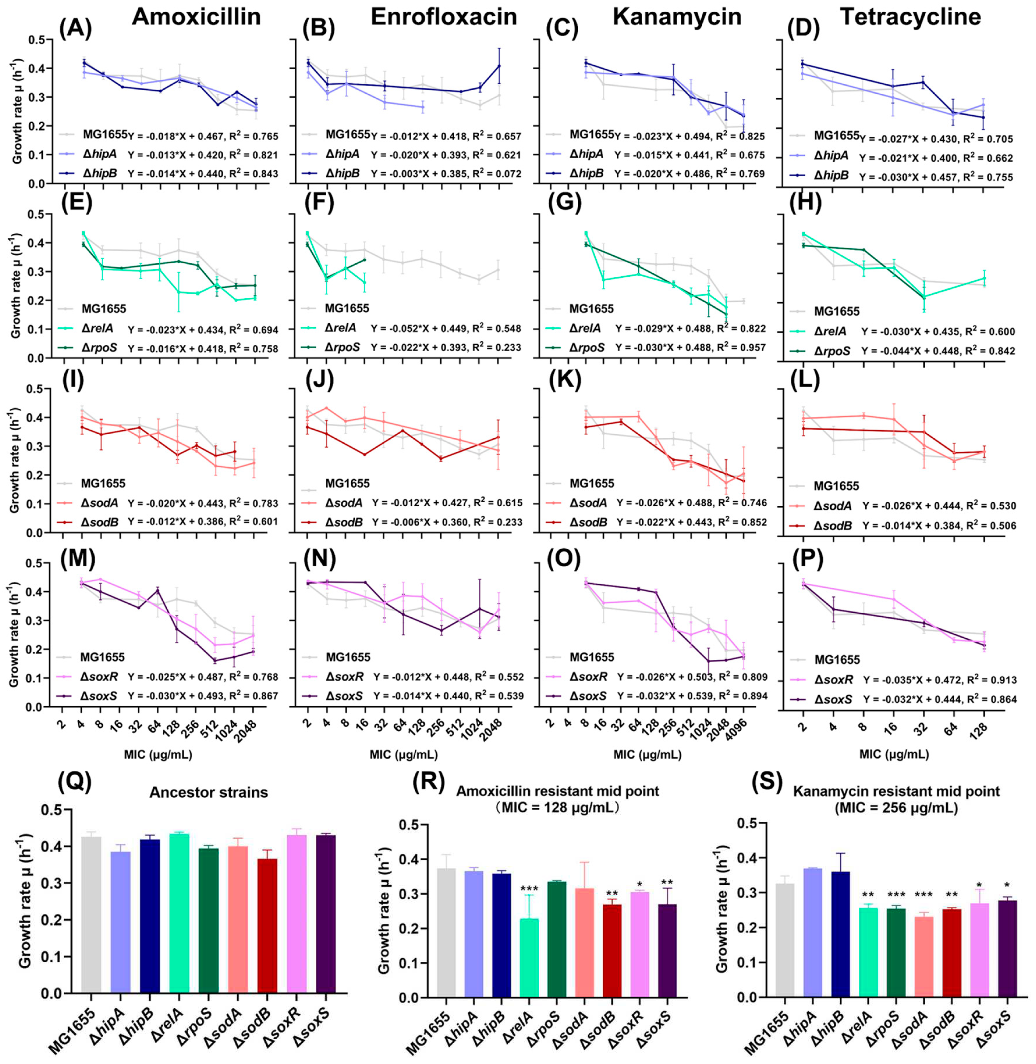 Preprints 90087 g001