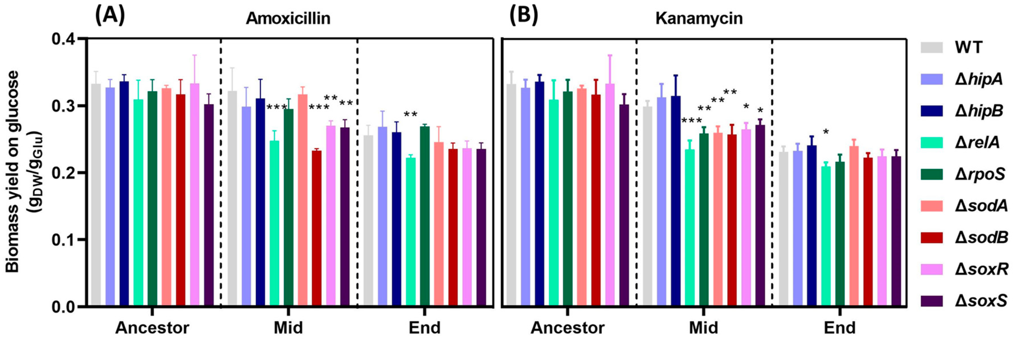 Preprints 90087 g002