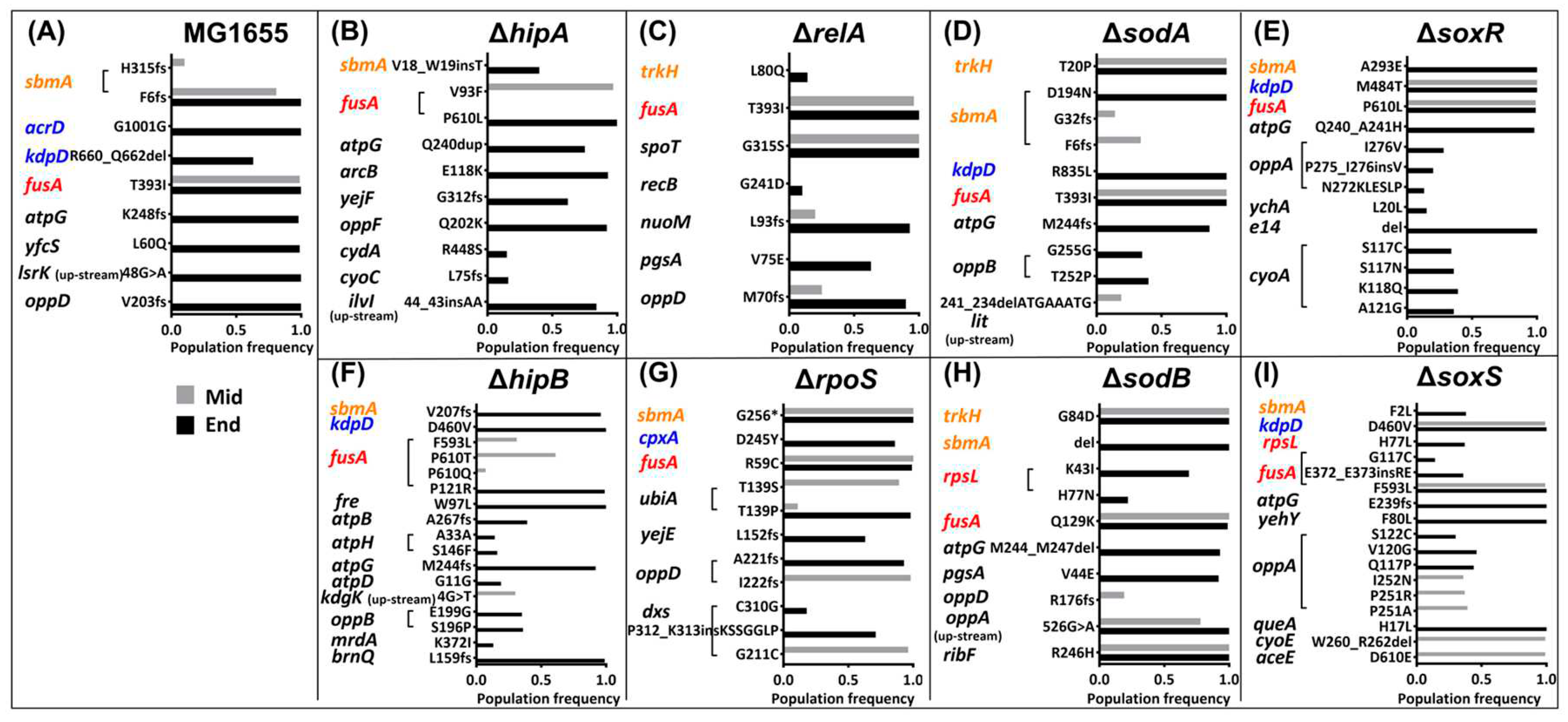 Preprints 90087 g004