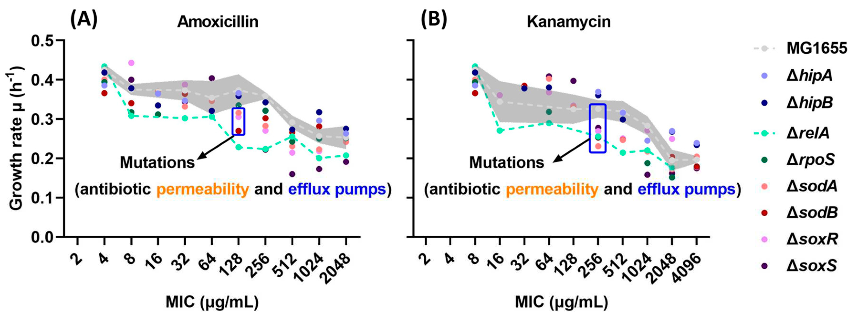 Preprints 90087 g005