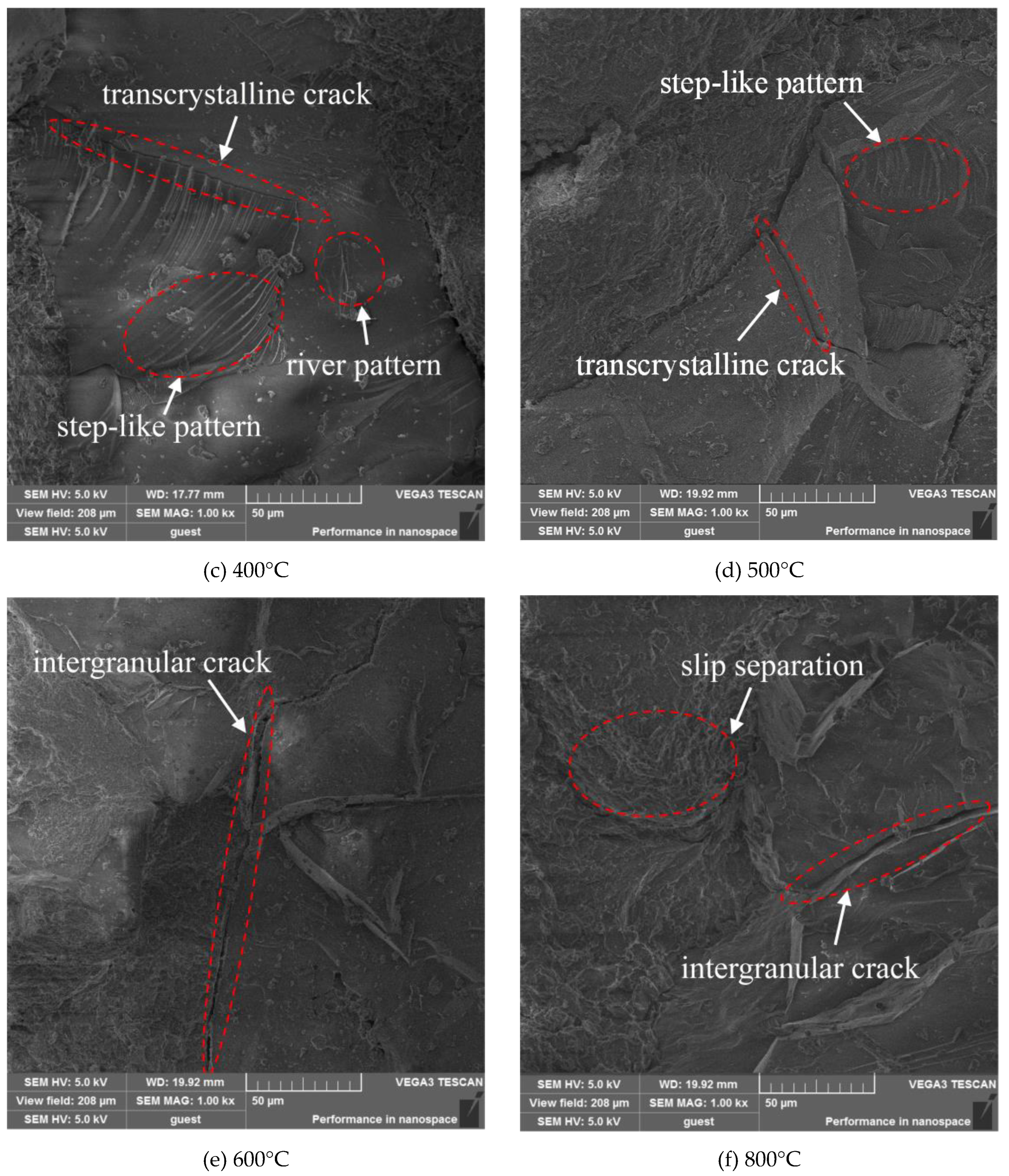 Preprints 89973 g016b