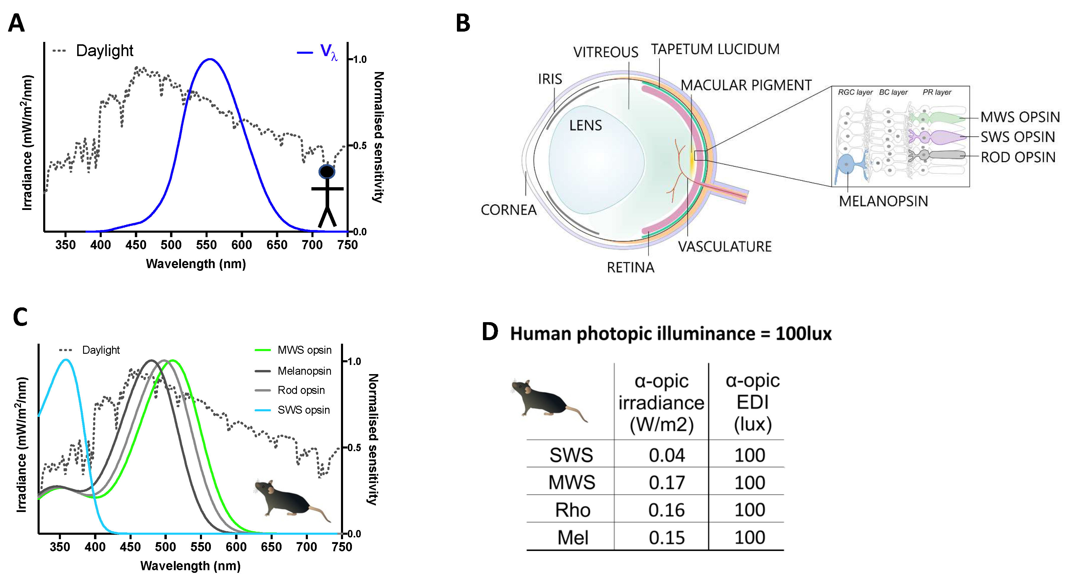 Preprints 86080 g002