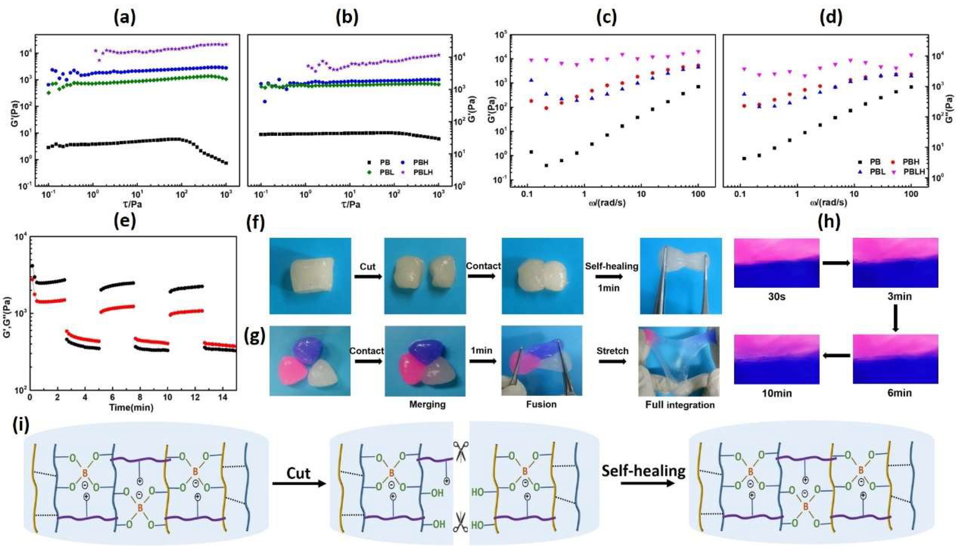 Preprints 117044 g003