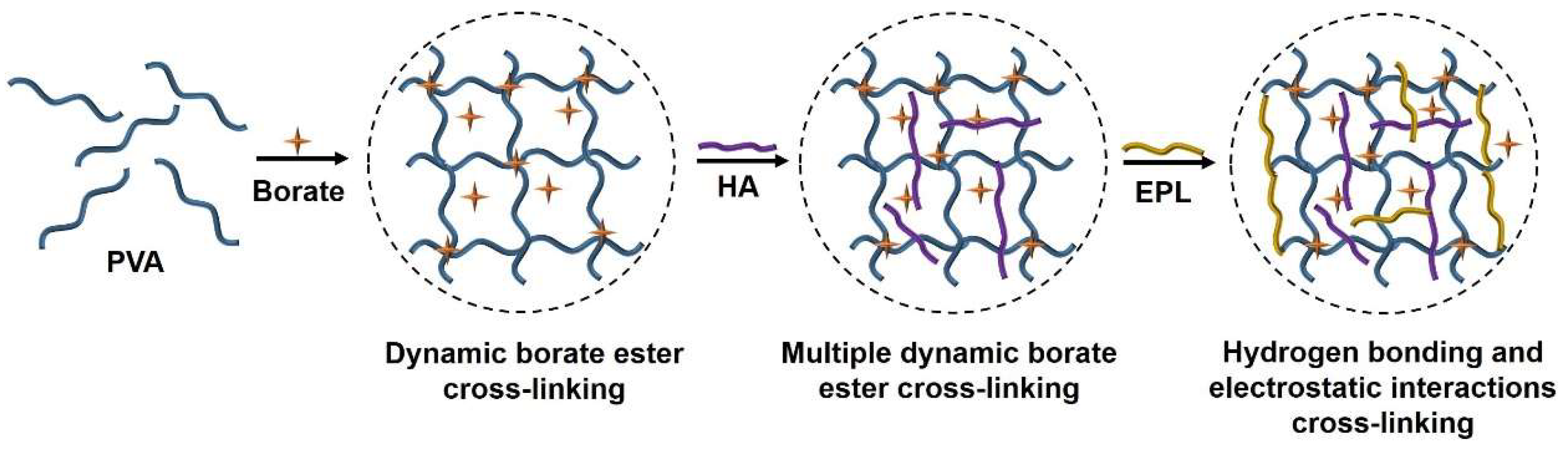 Preprints 117044 sch001