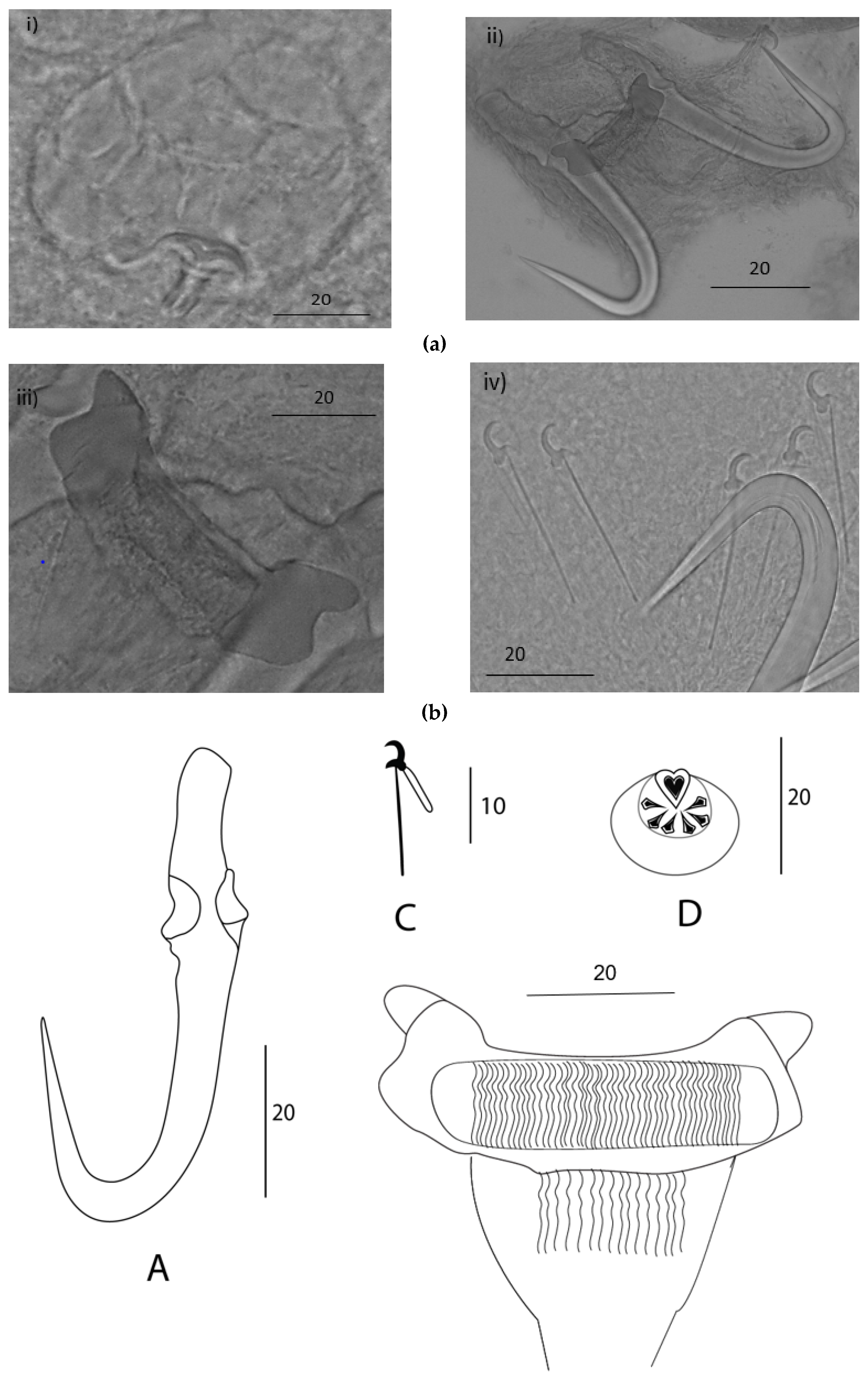 Preprints 68680 g002