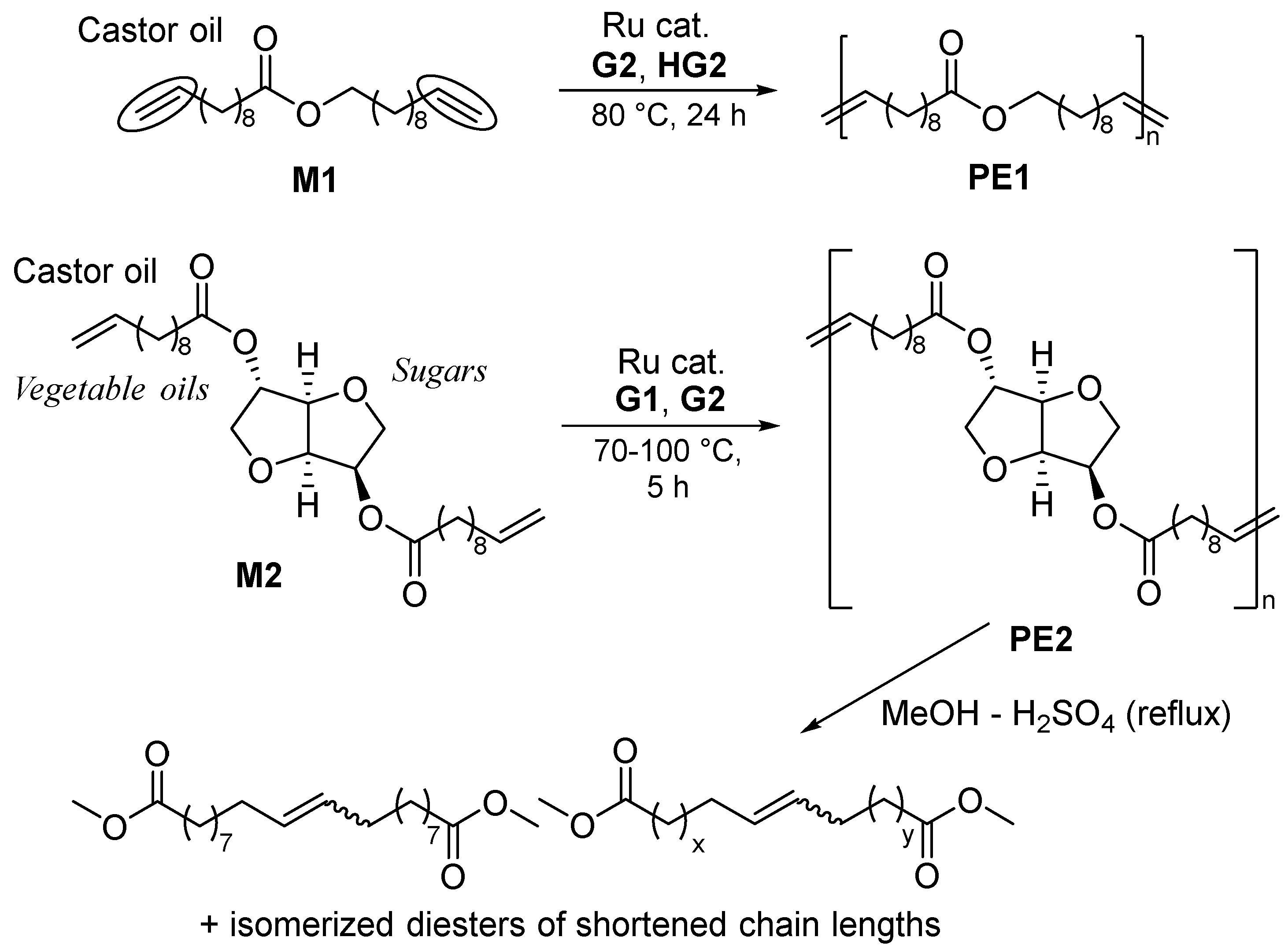 Preprints 95740 sch003