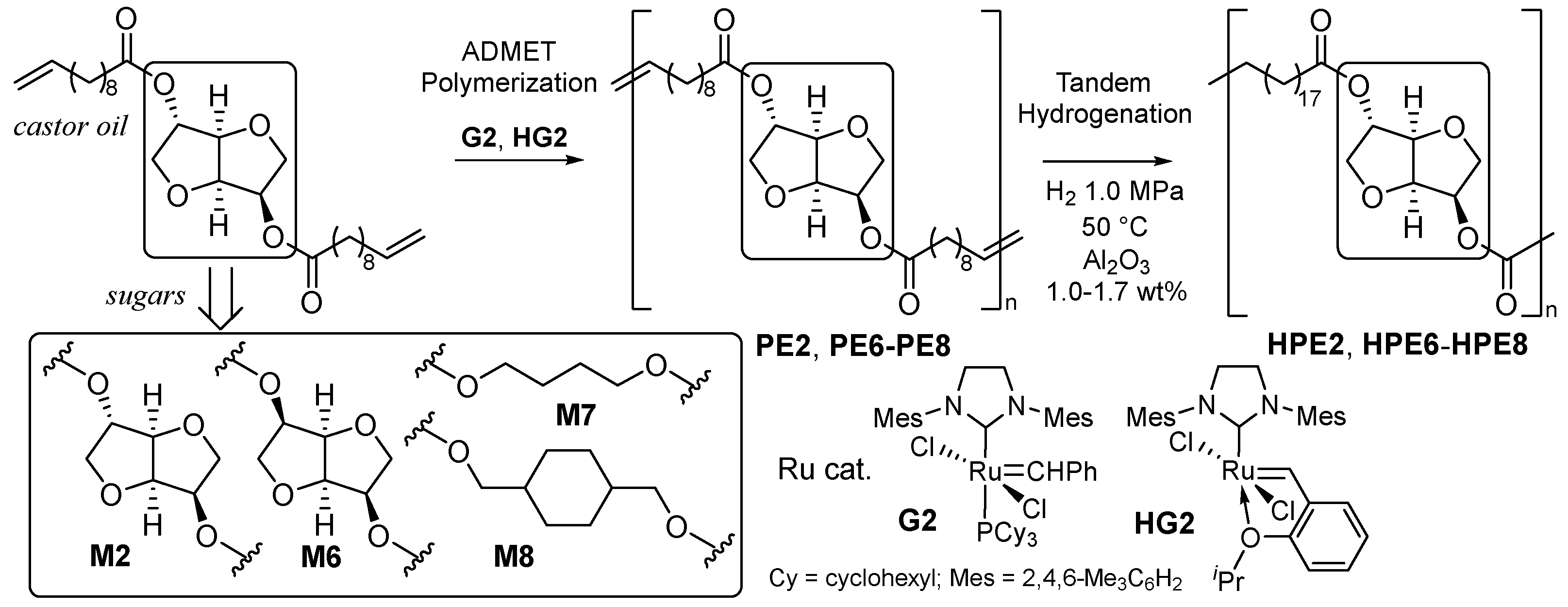 Preprints 95740 sch005