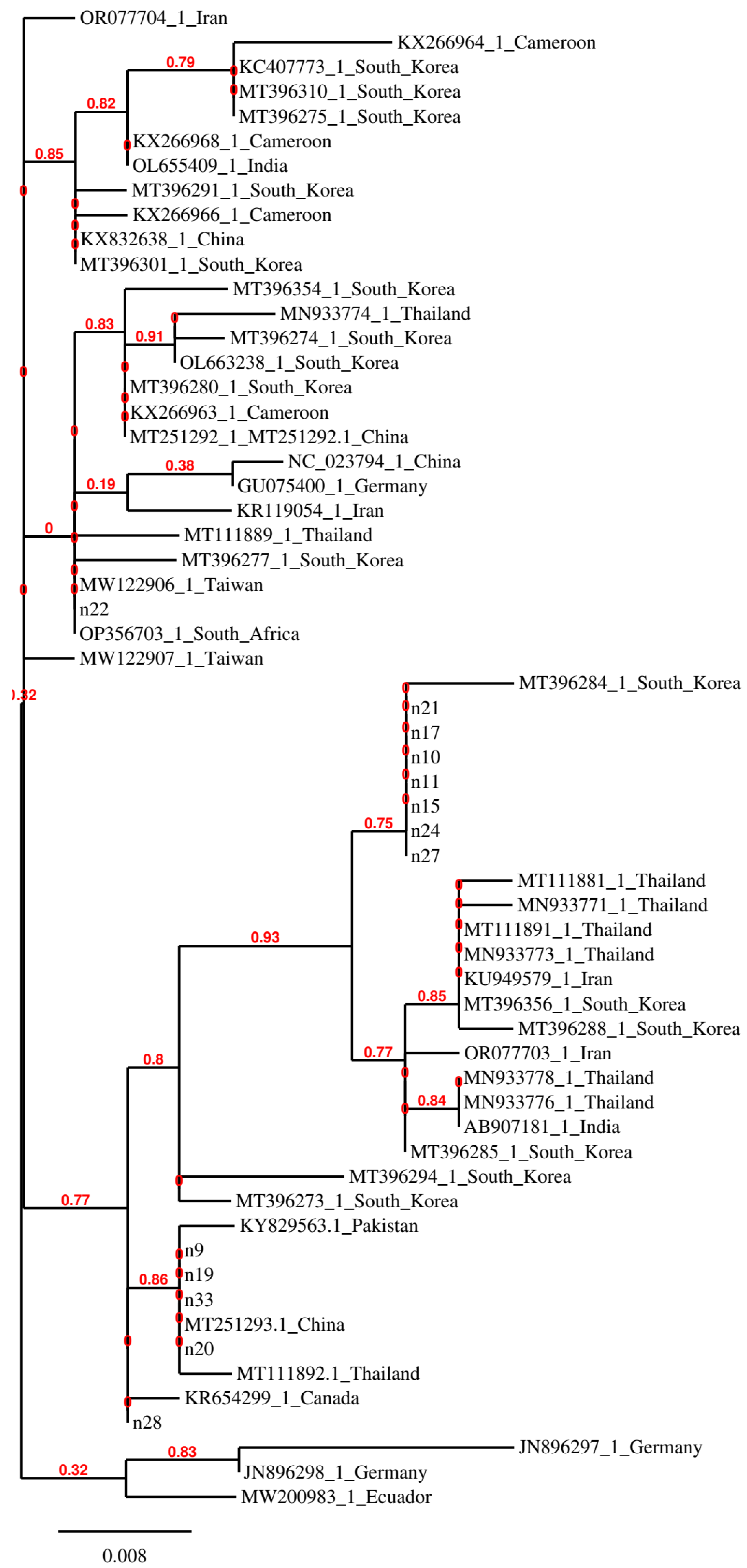 Preprints 116966 g002