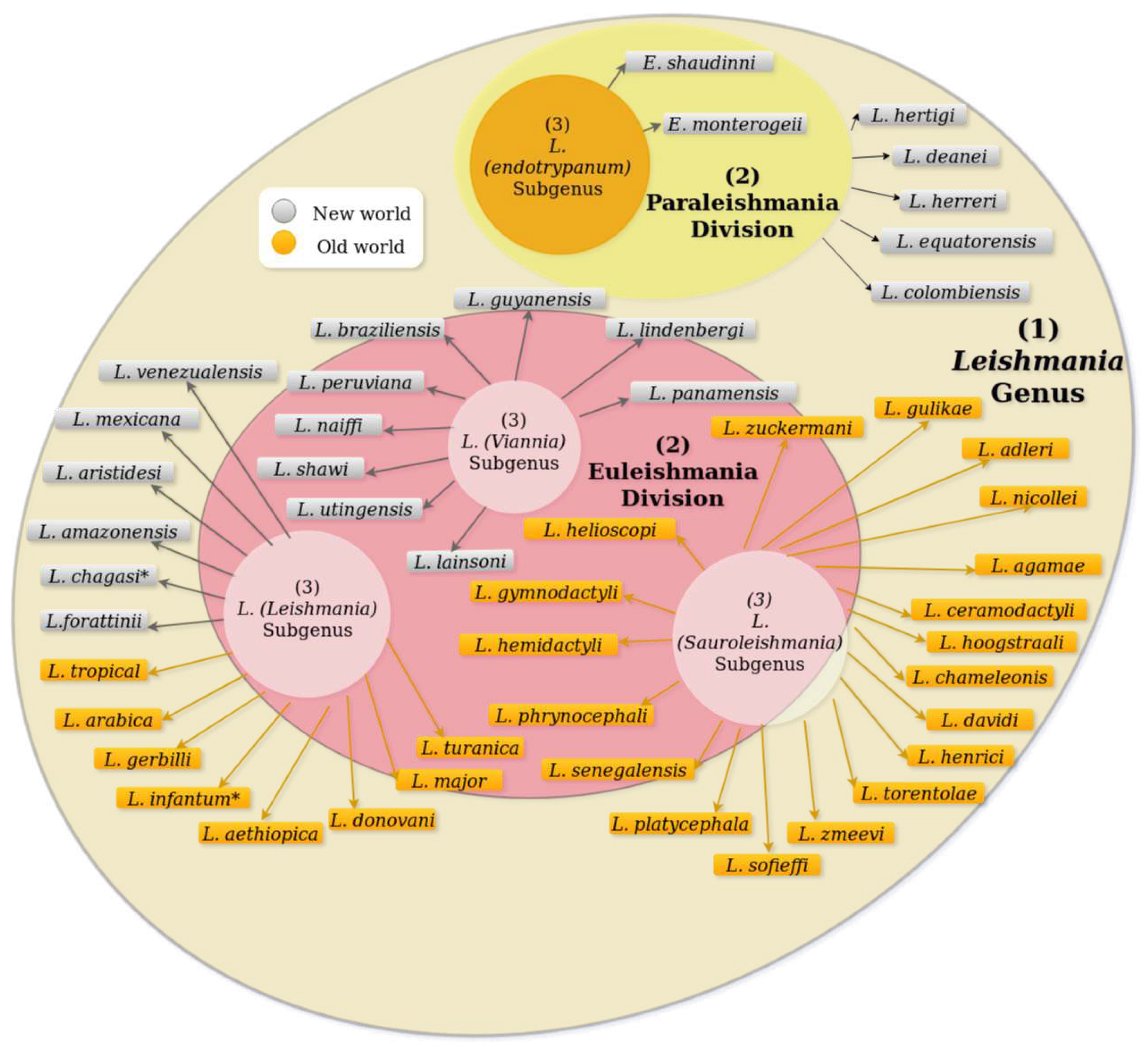 Preprints 85728 g003