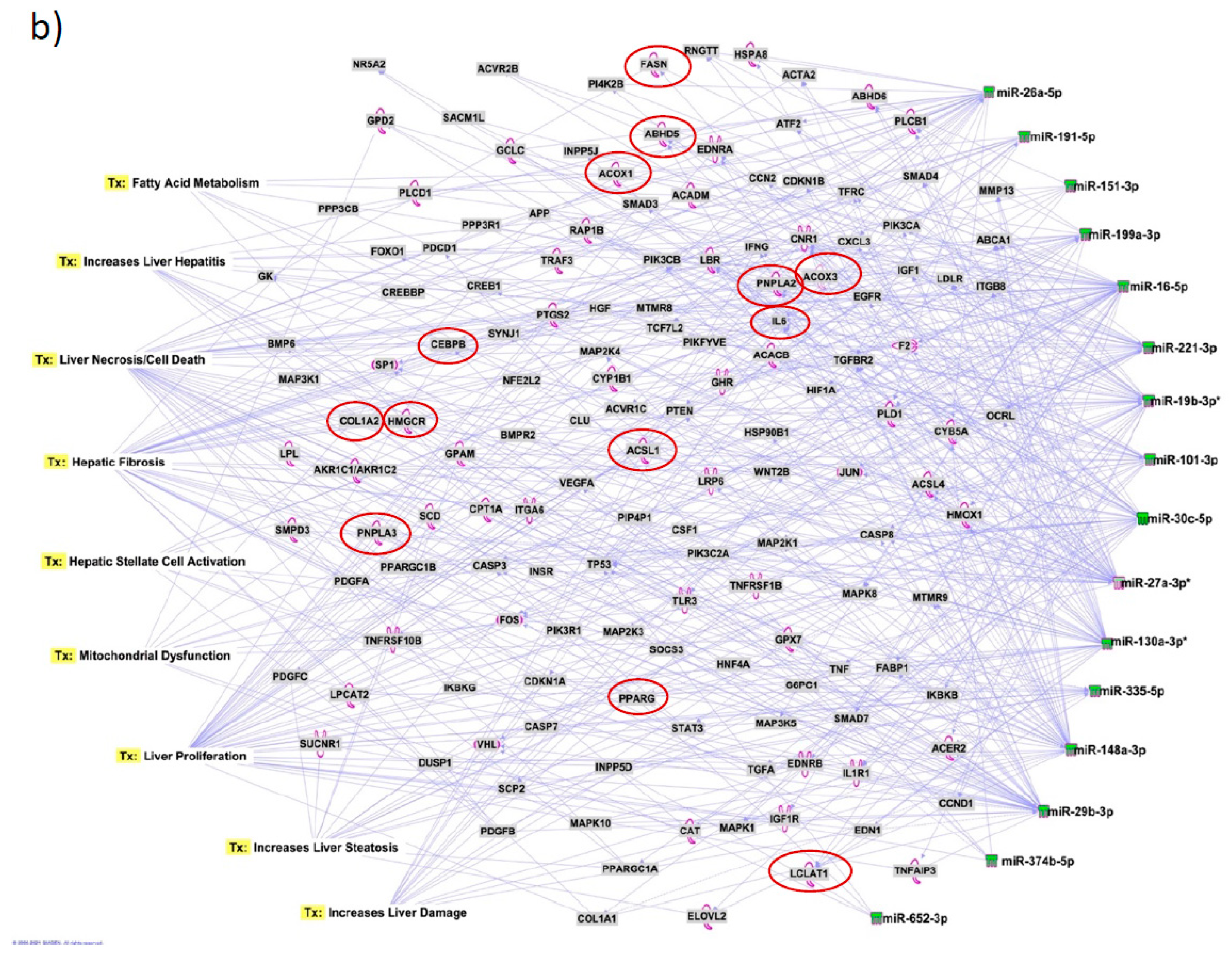 Preprints 83686 g007b