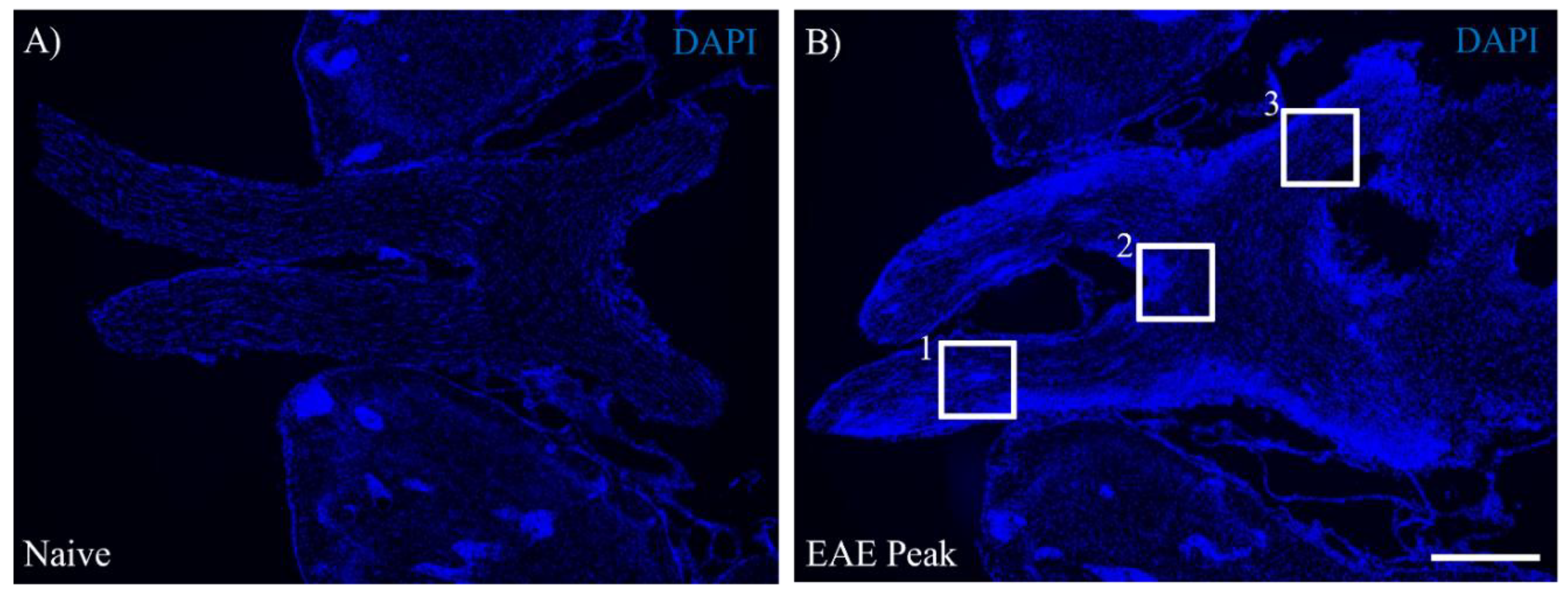 Preprints 89366 g001