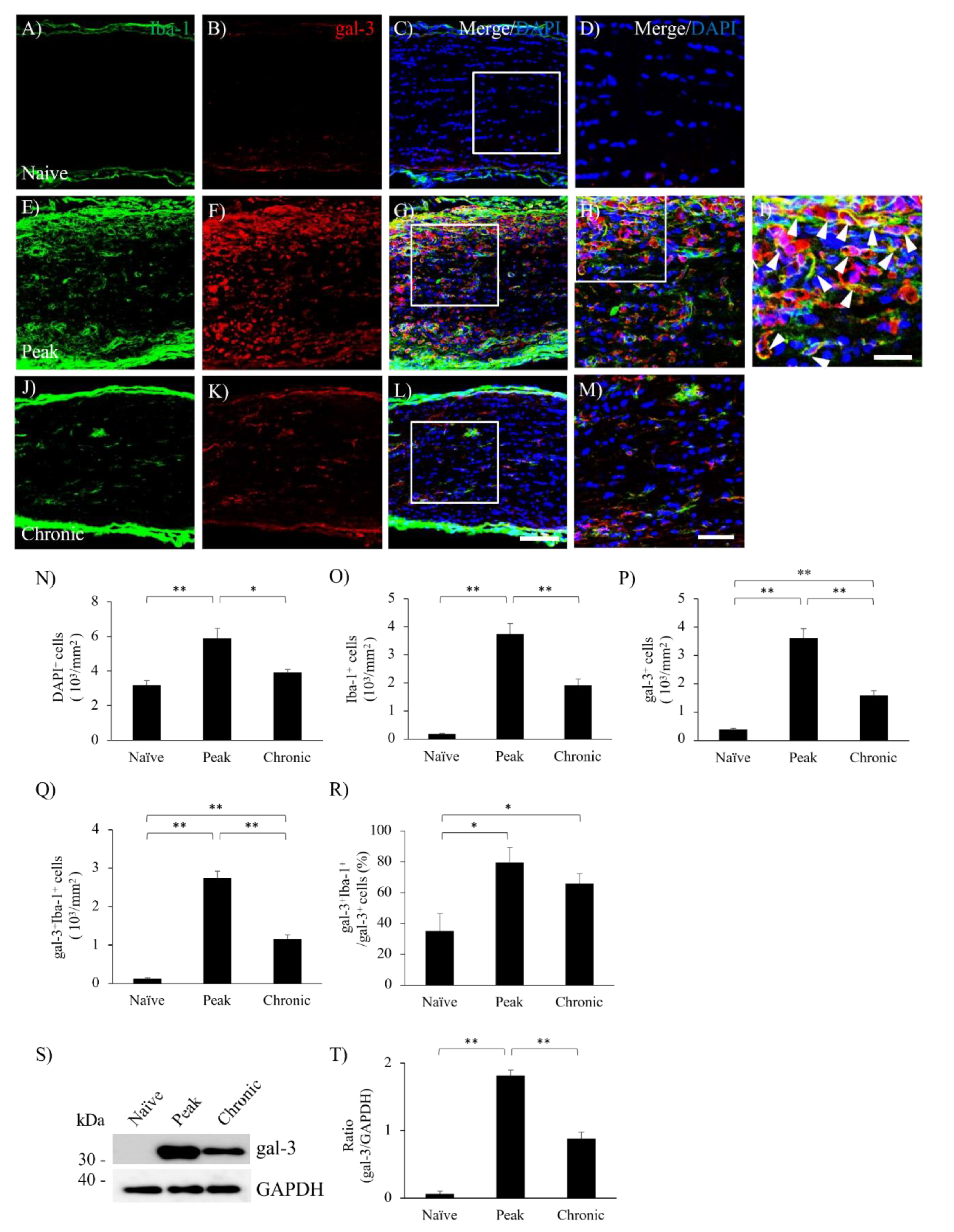 Preprints 89366 g002