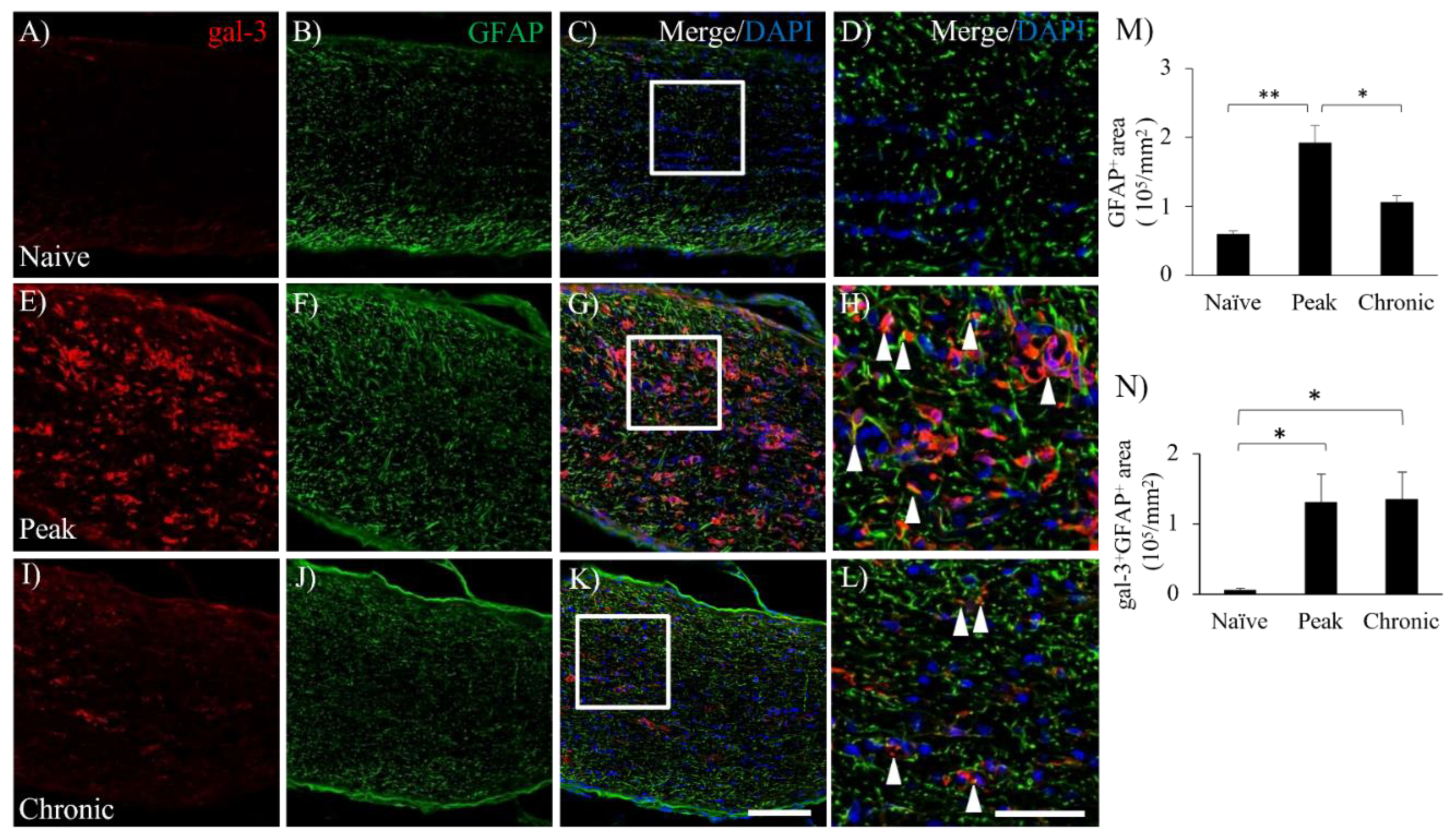 Preprints 89366 g003