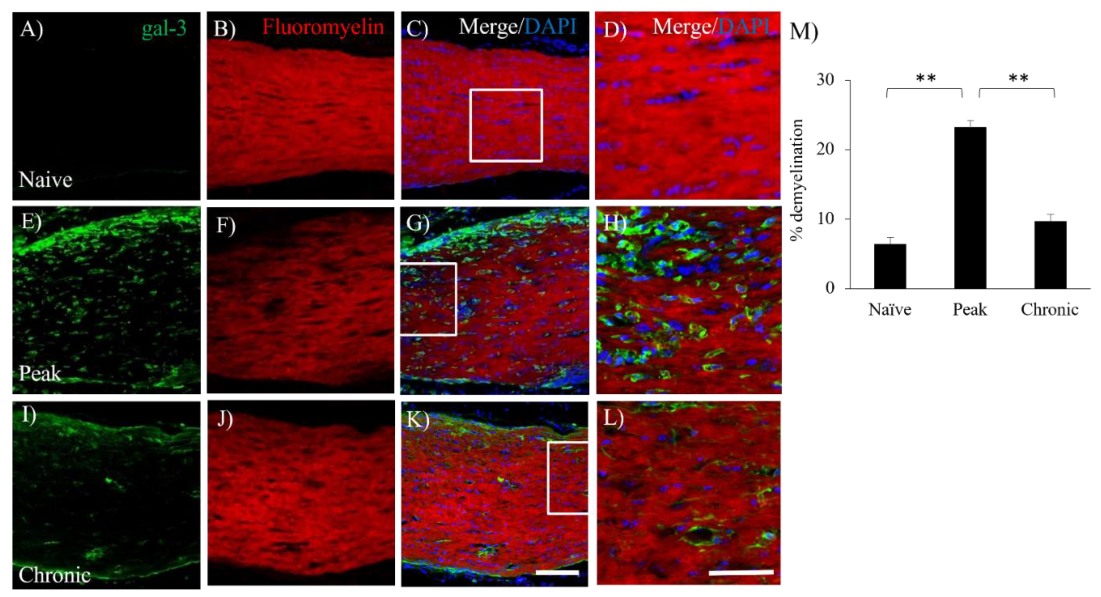 Preprints 89366 g004