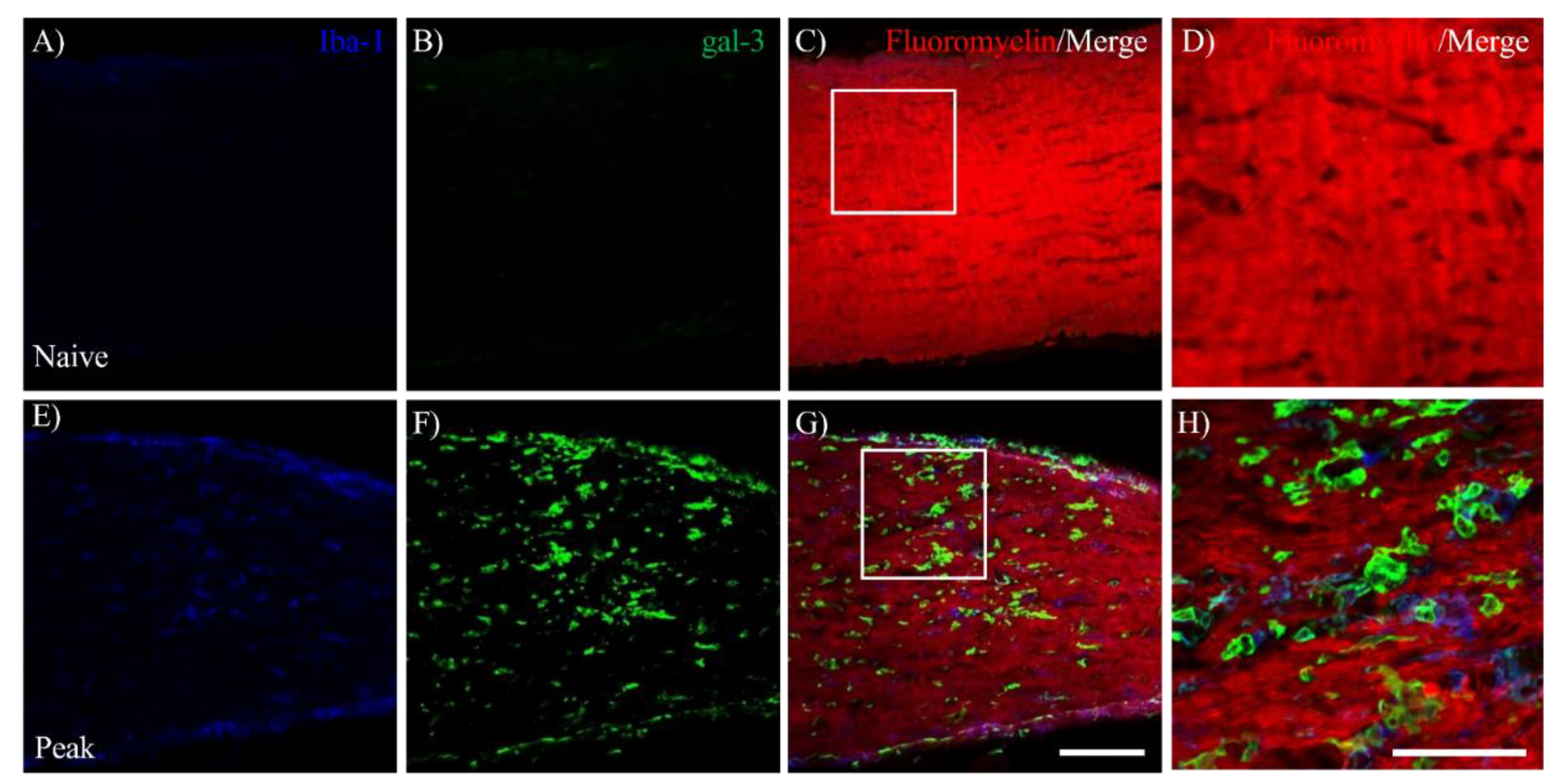 Preprints 89366 g005