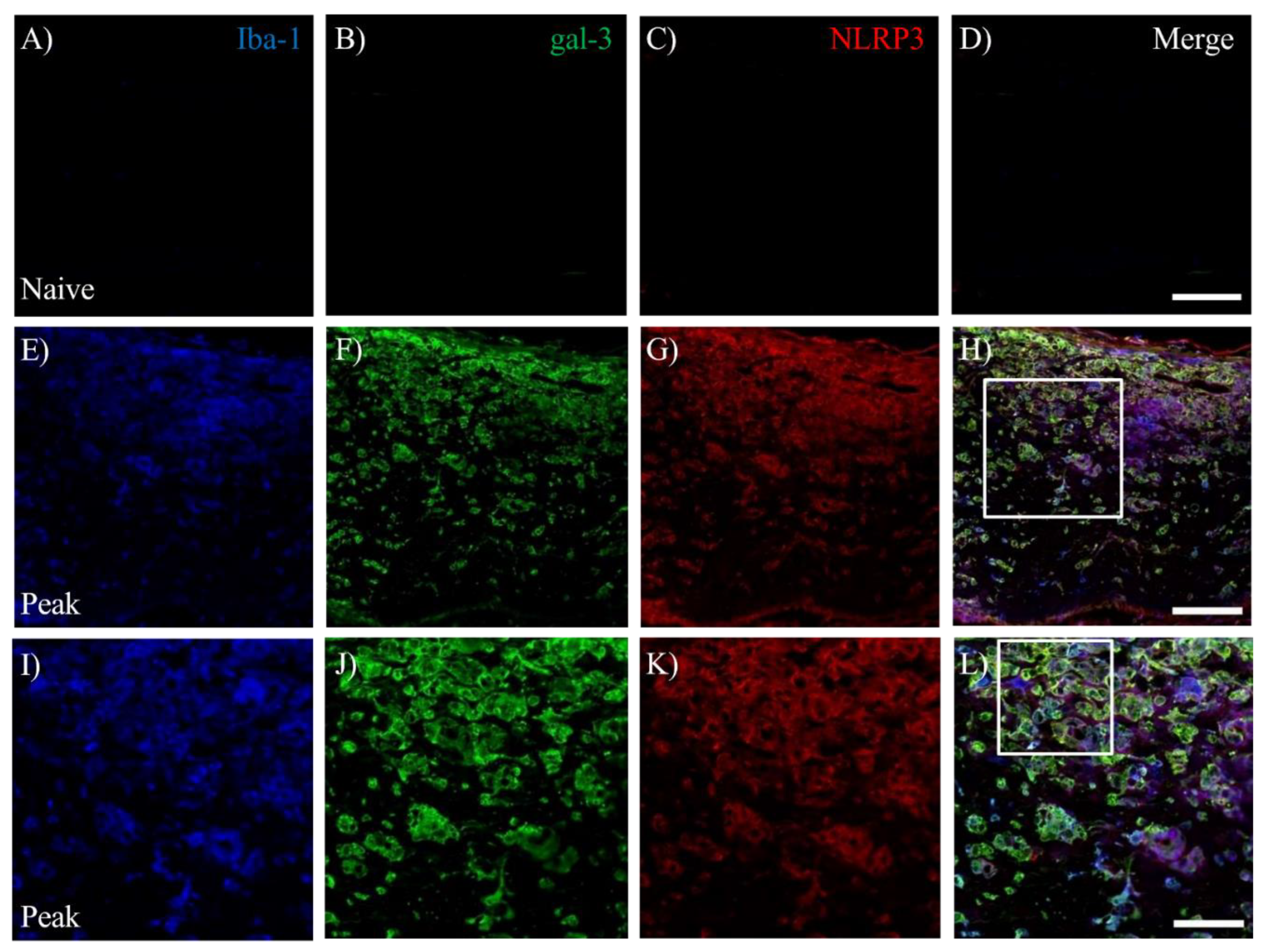 Preprints 89366 g007a