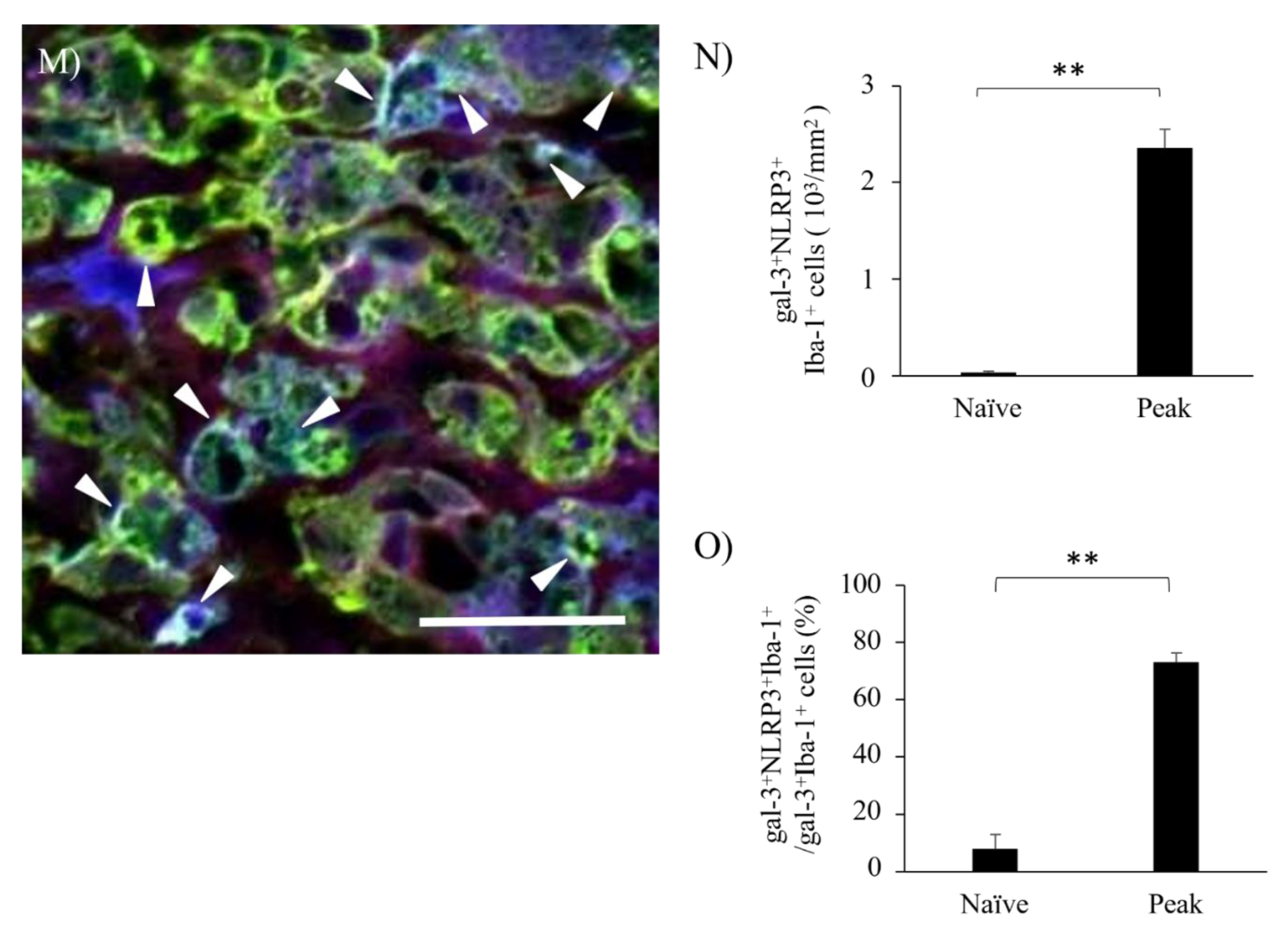 Preprints 89366 g007b