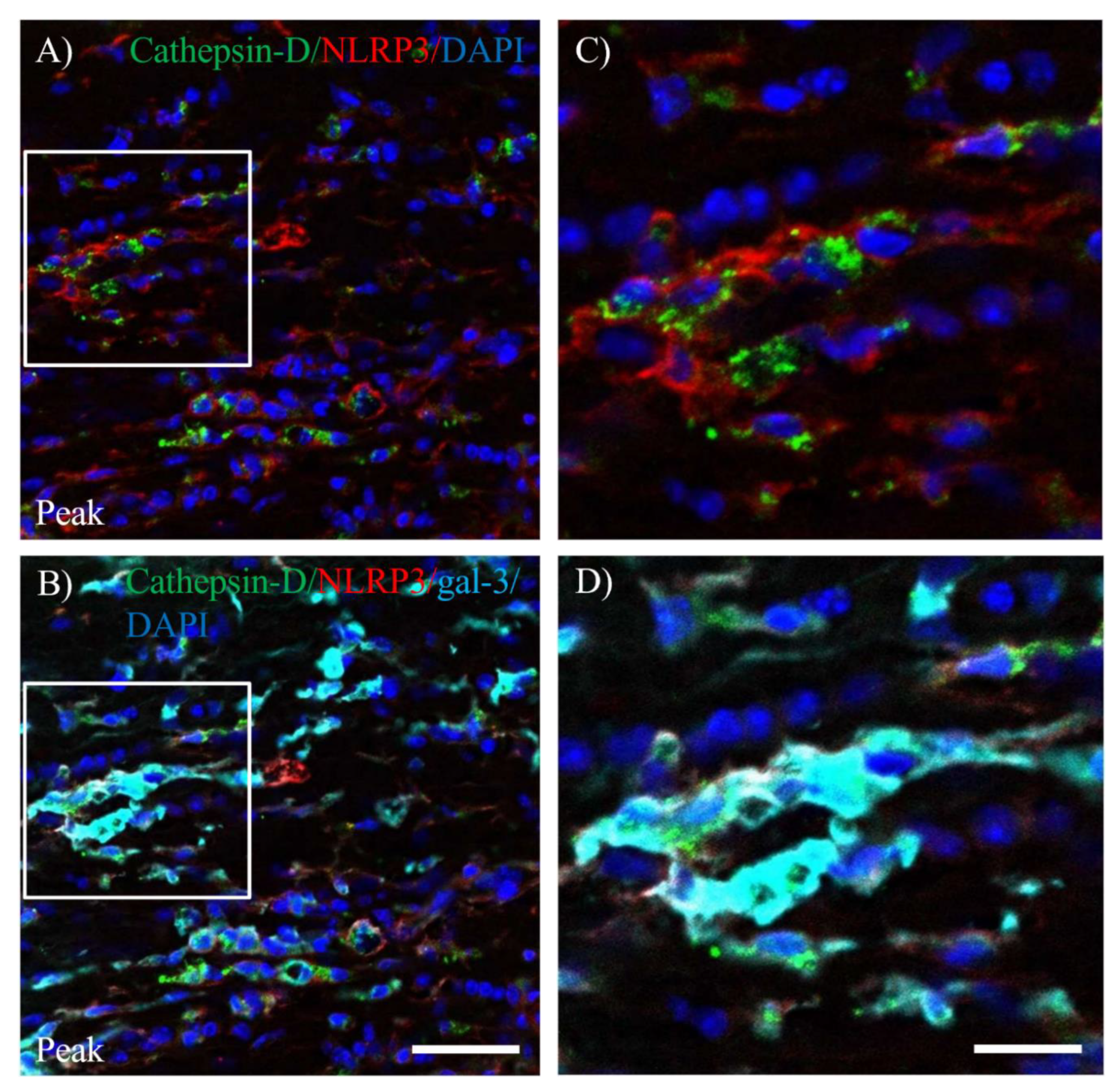 Preprints 89366 g008