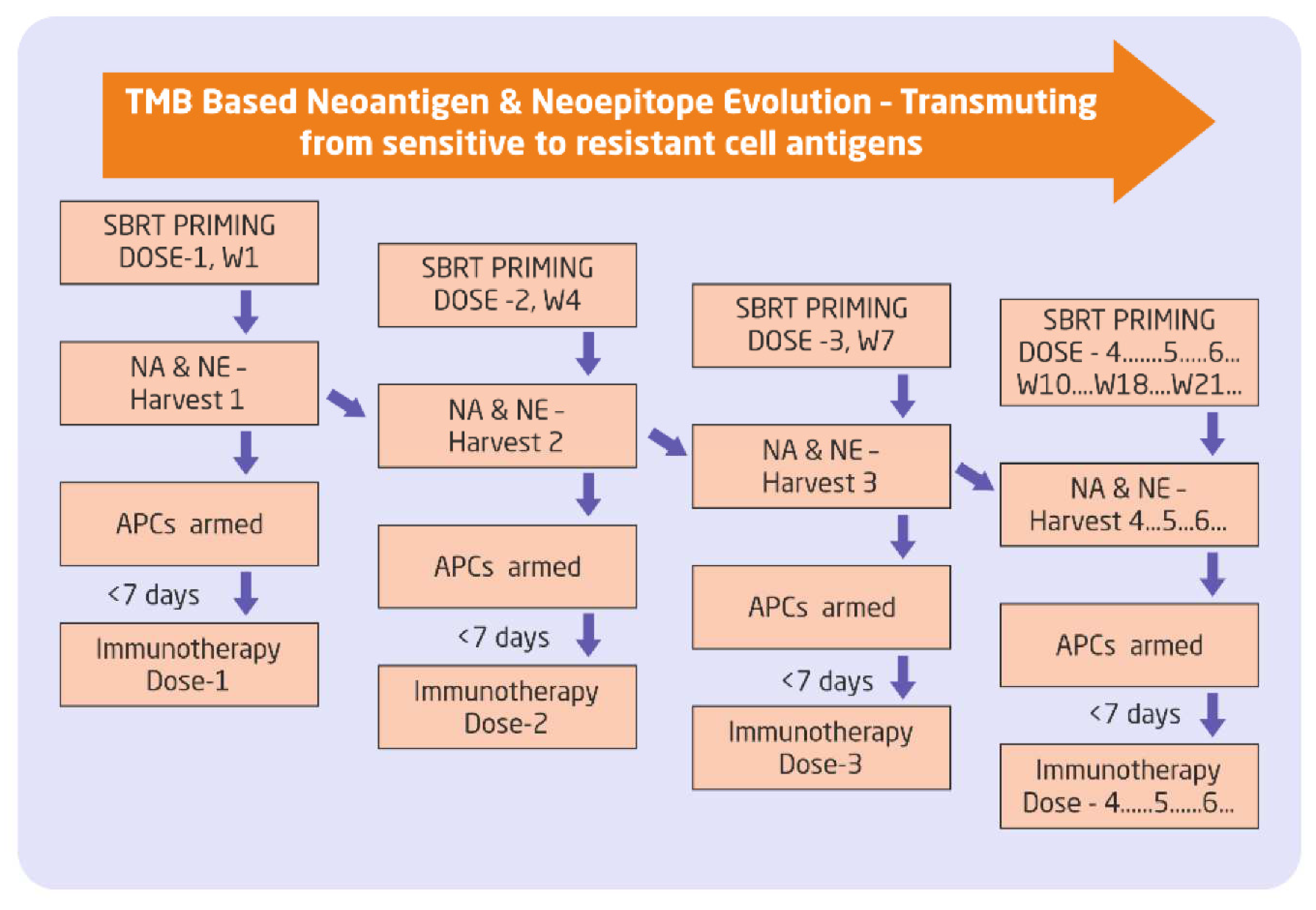 Preprints 86496 g001