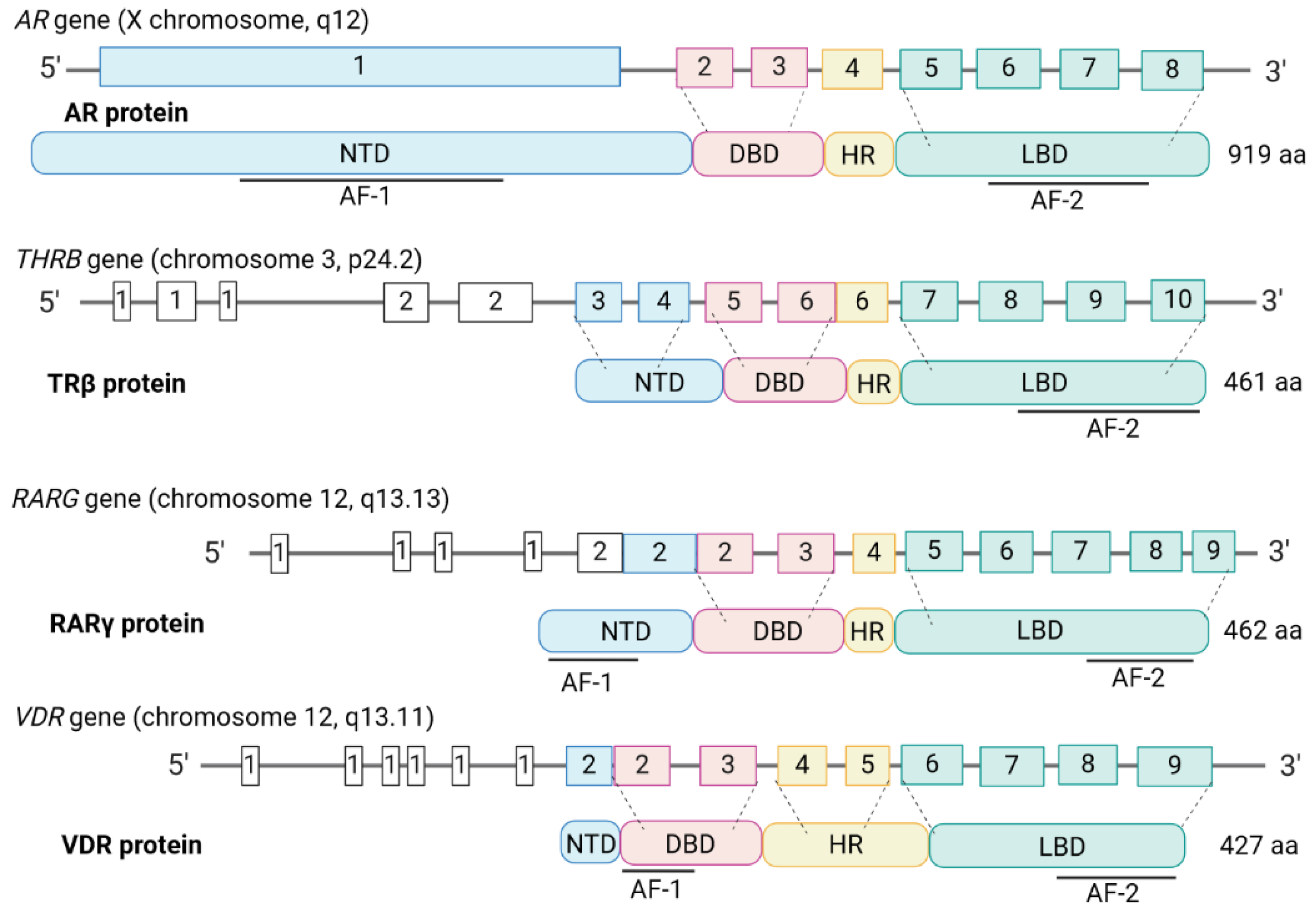 Preprints 111991 g002