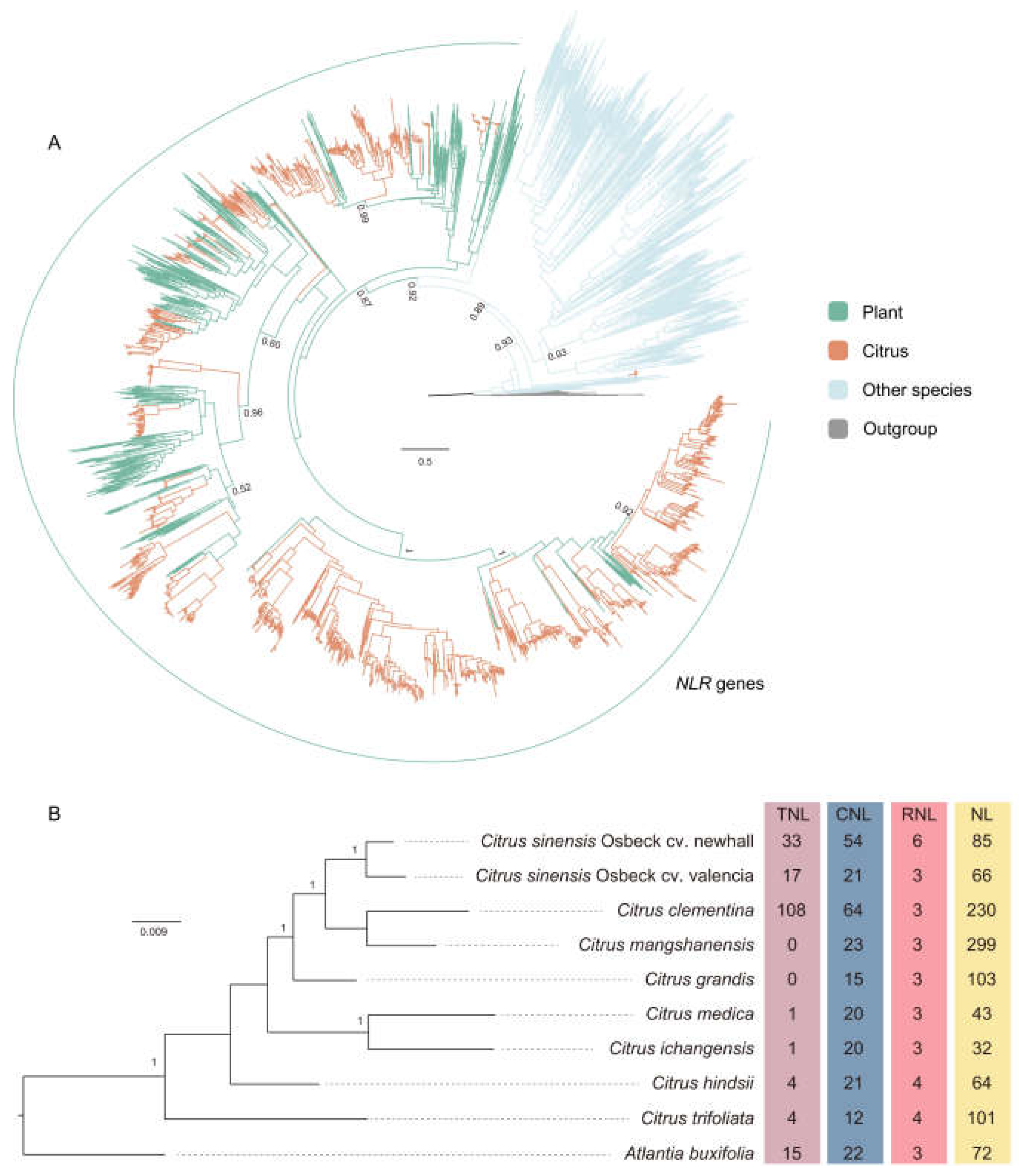 Preprints 117996 g001