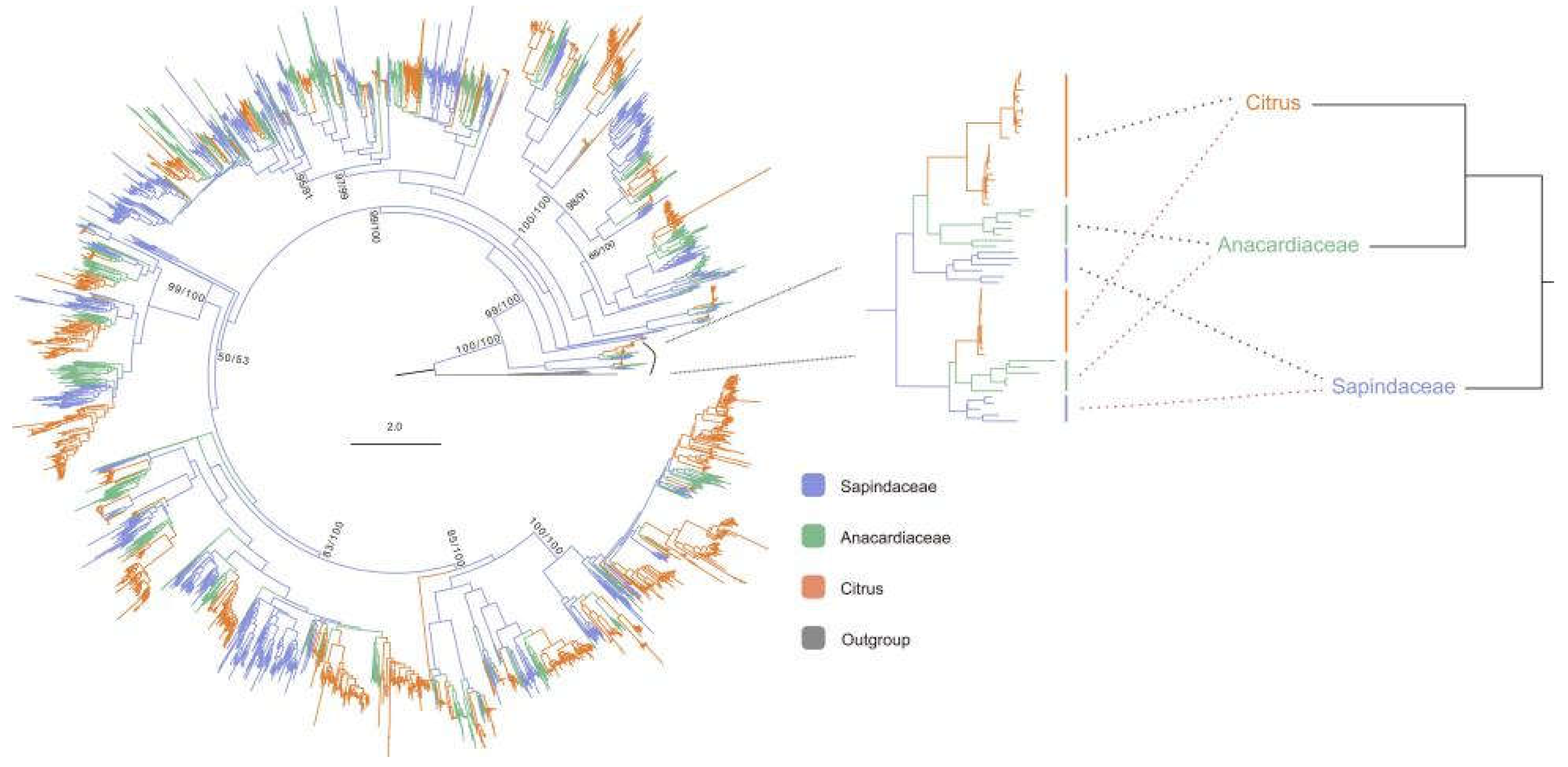 Preprints 117996 g002