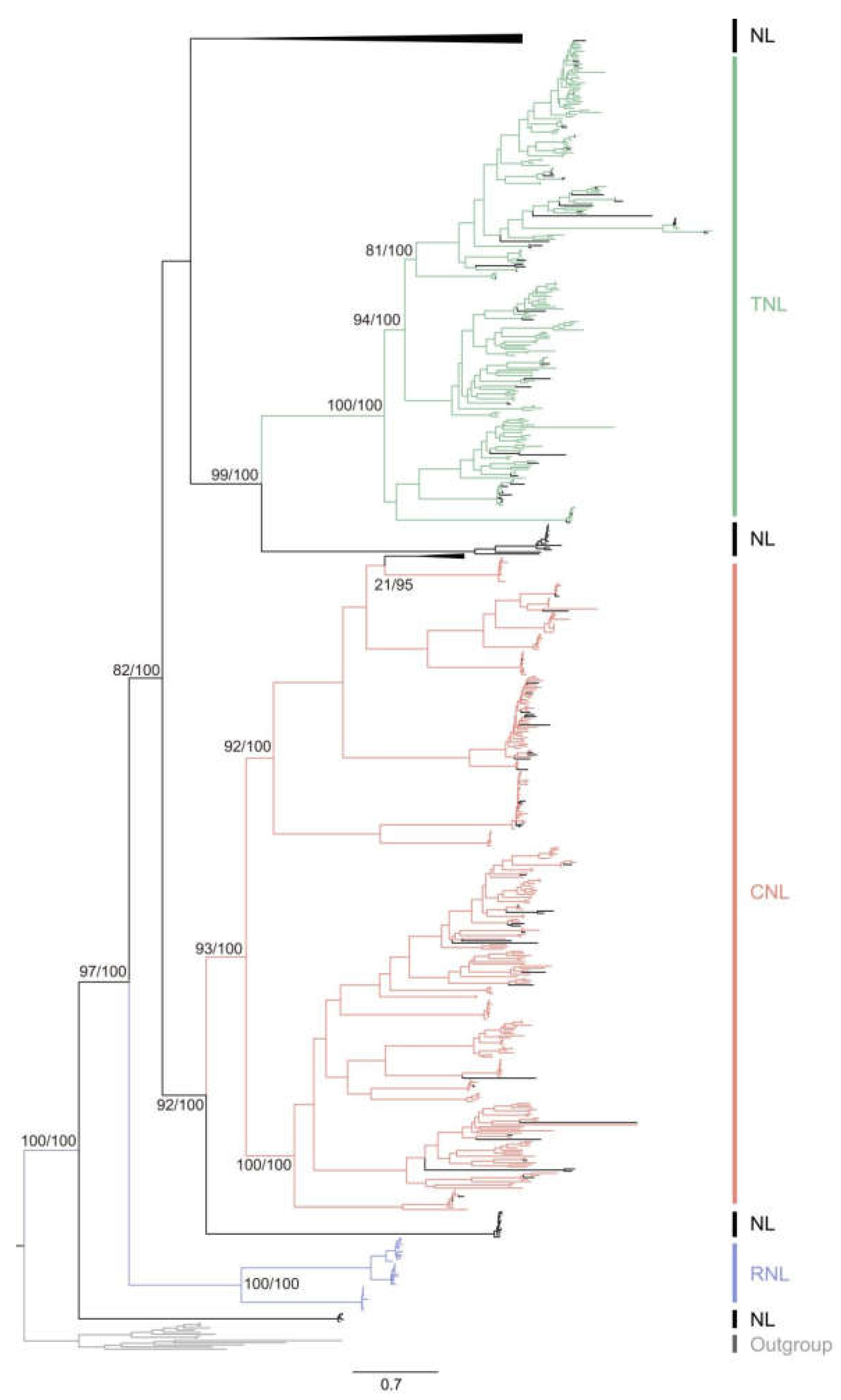 Preprints 117996 g003