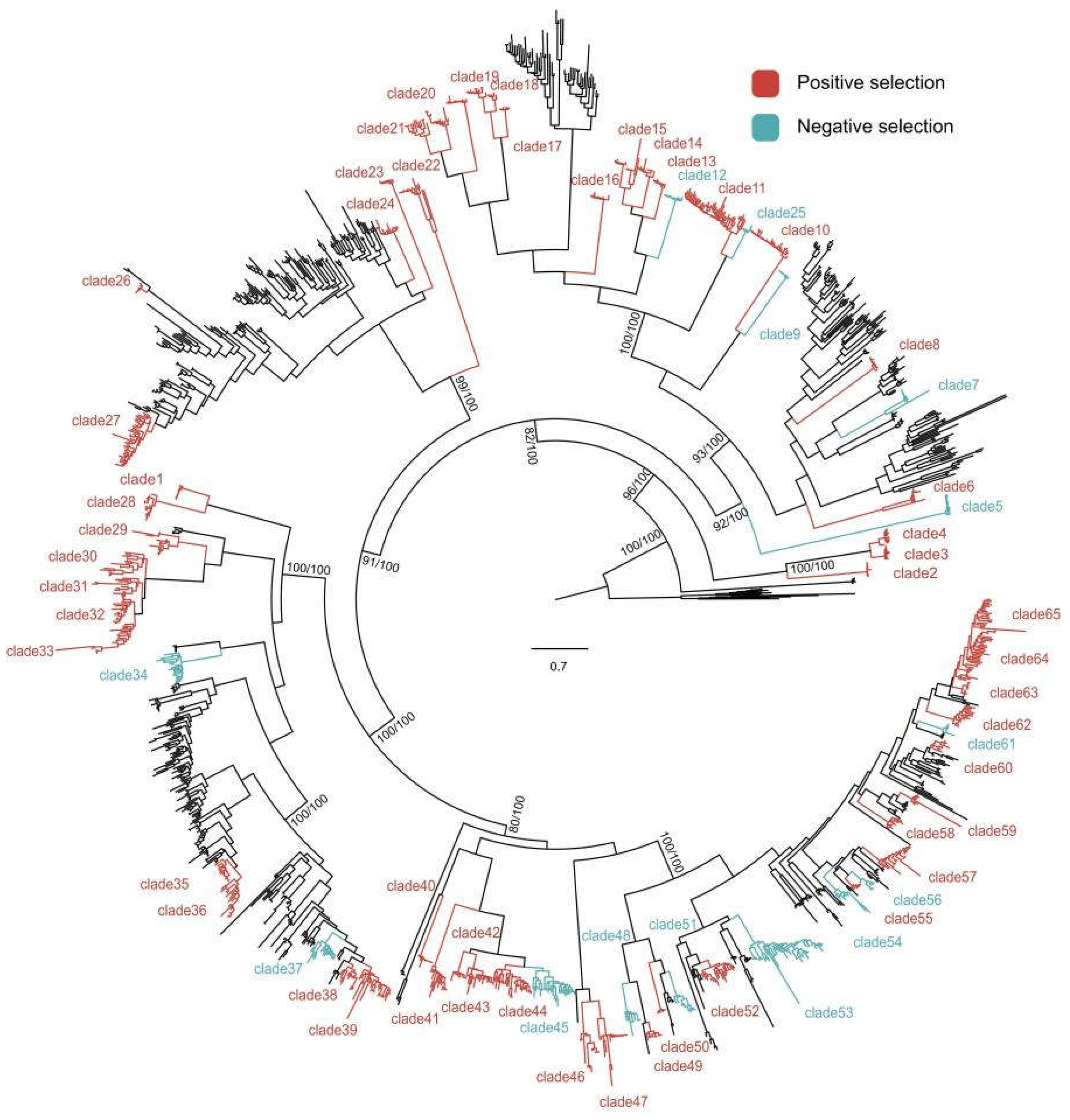 Preprints 117996 g004