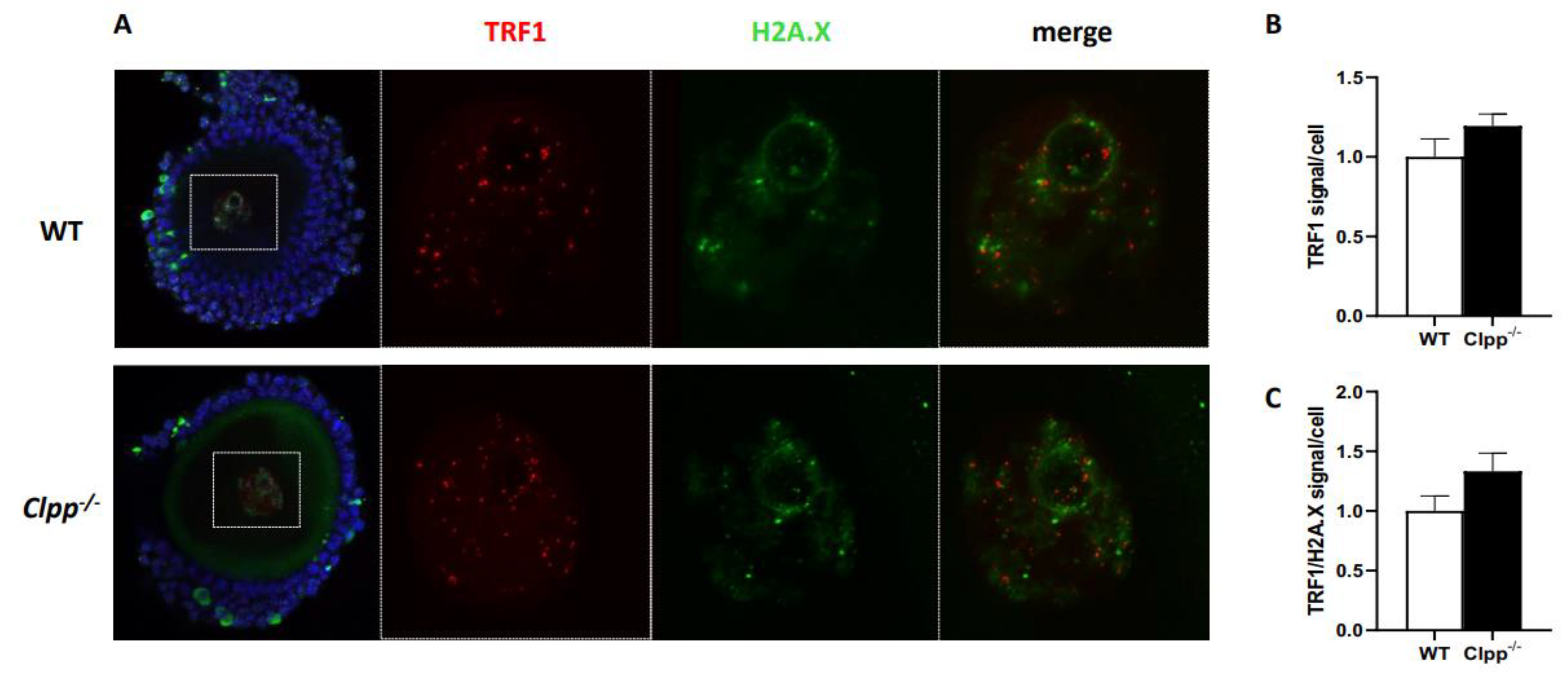 Preprints 74580 g005