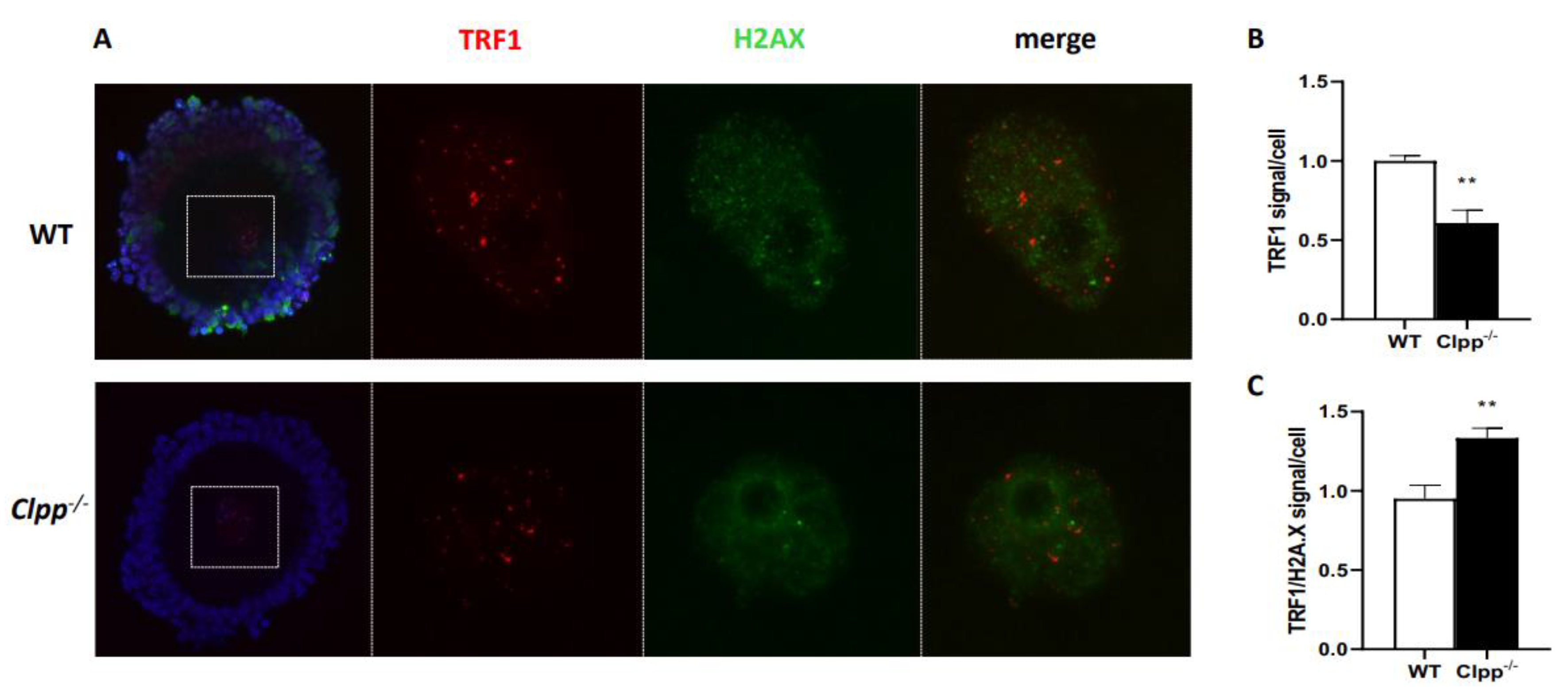 Preprints 74580 g006