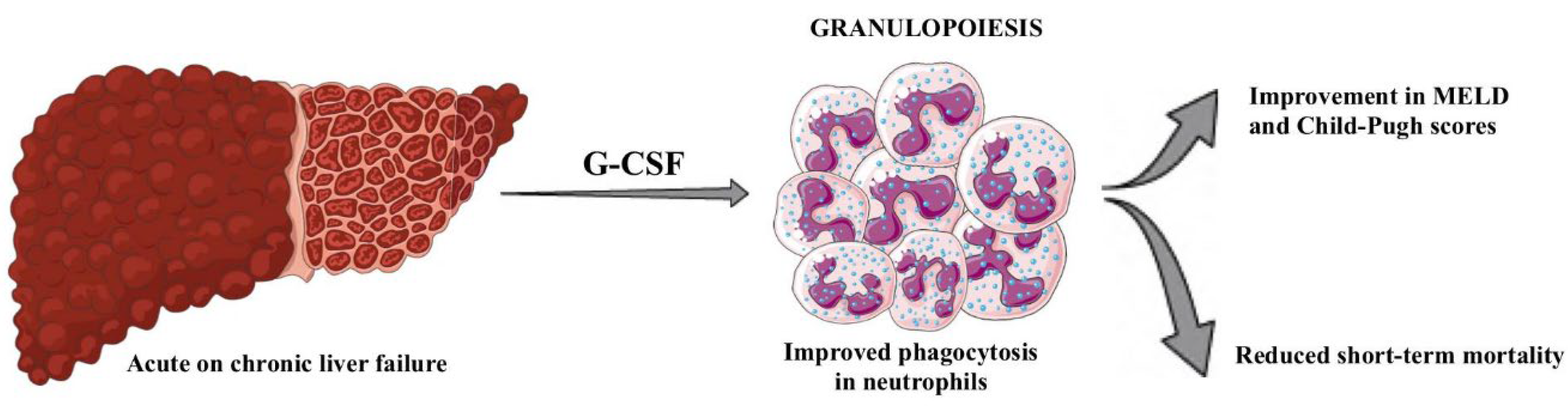 Preprints 113634 g003