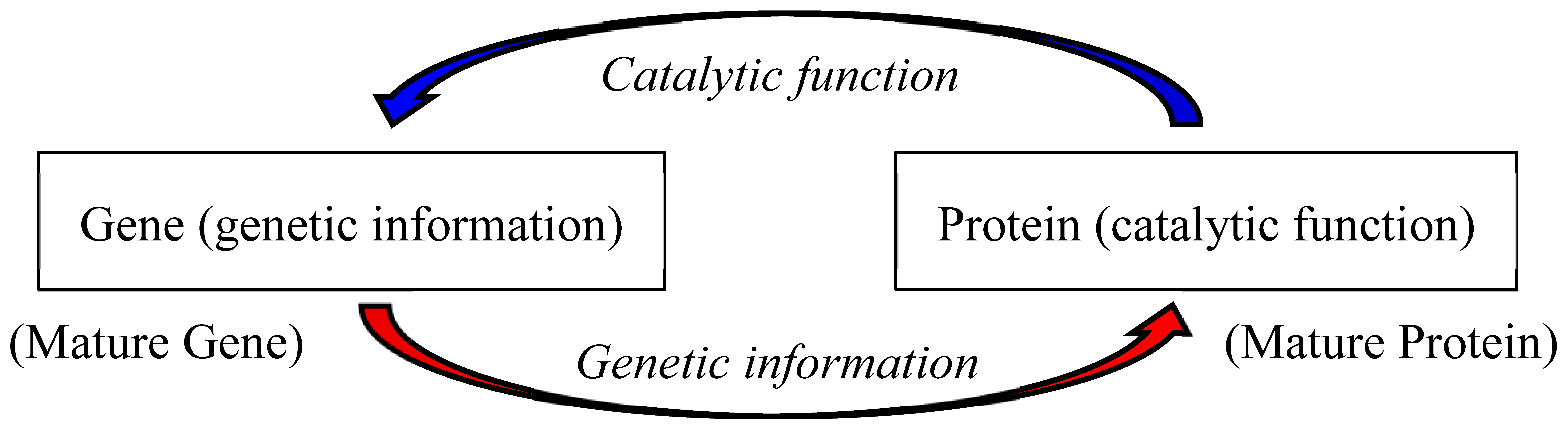 Preprints 77756 g001