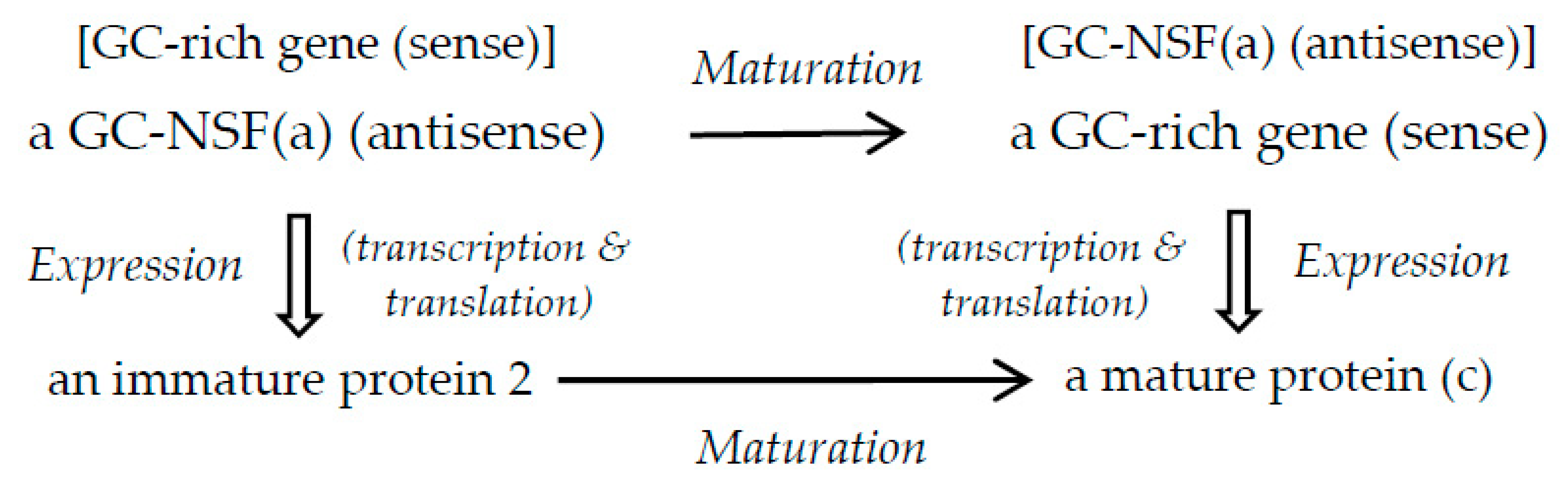 Preprints 77756 g004