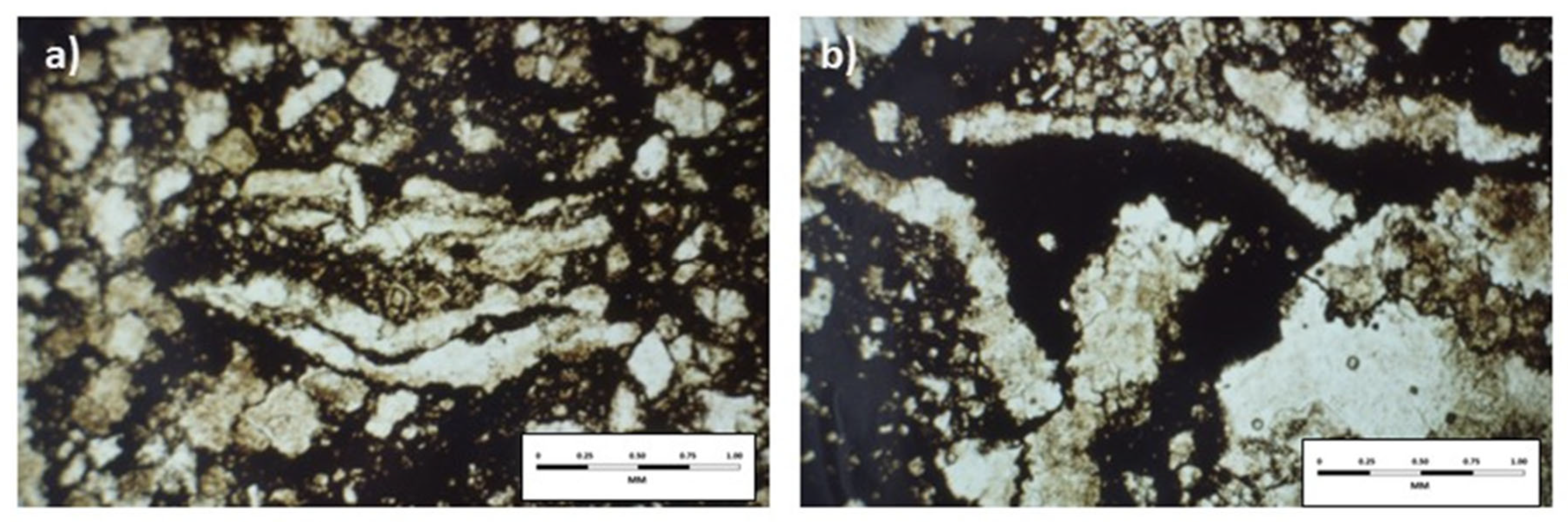 Preprints 99868 g023