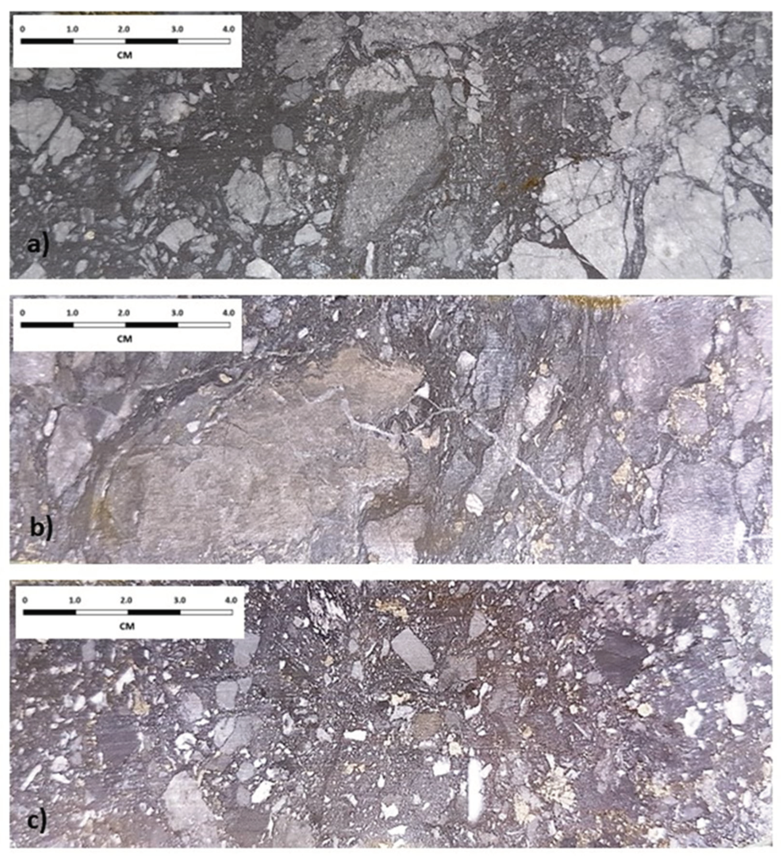 Preprints 99868 g024