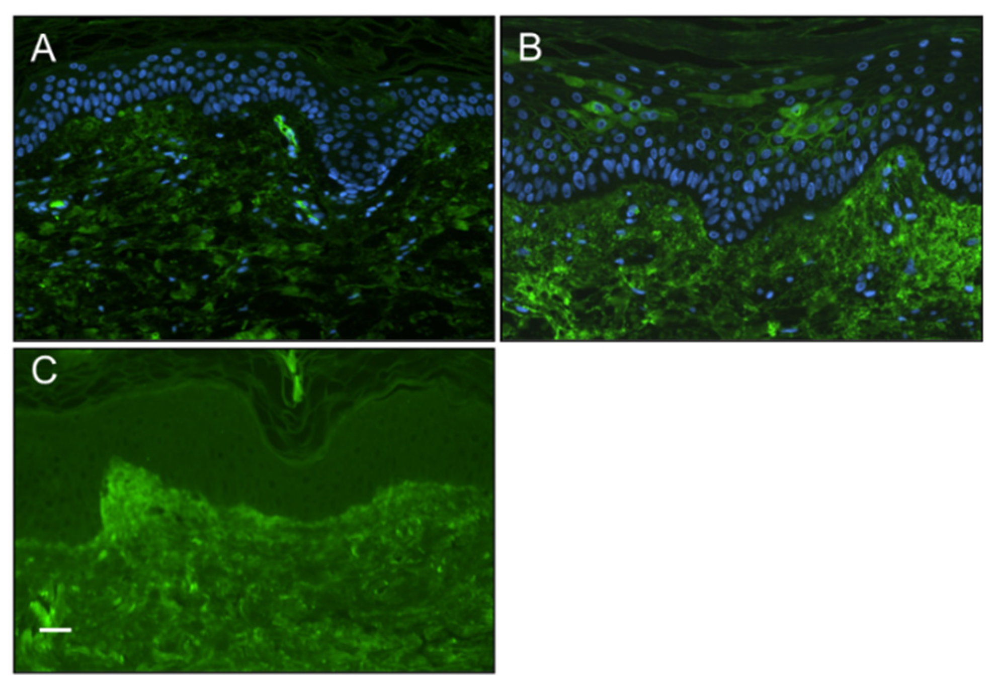 Preprints 79113 g002