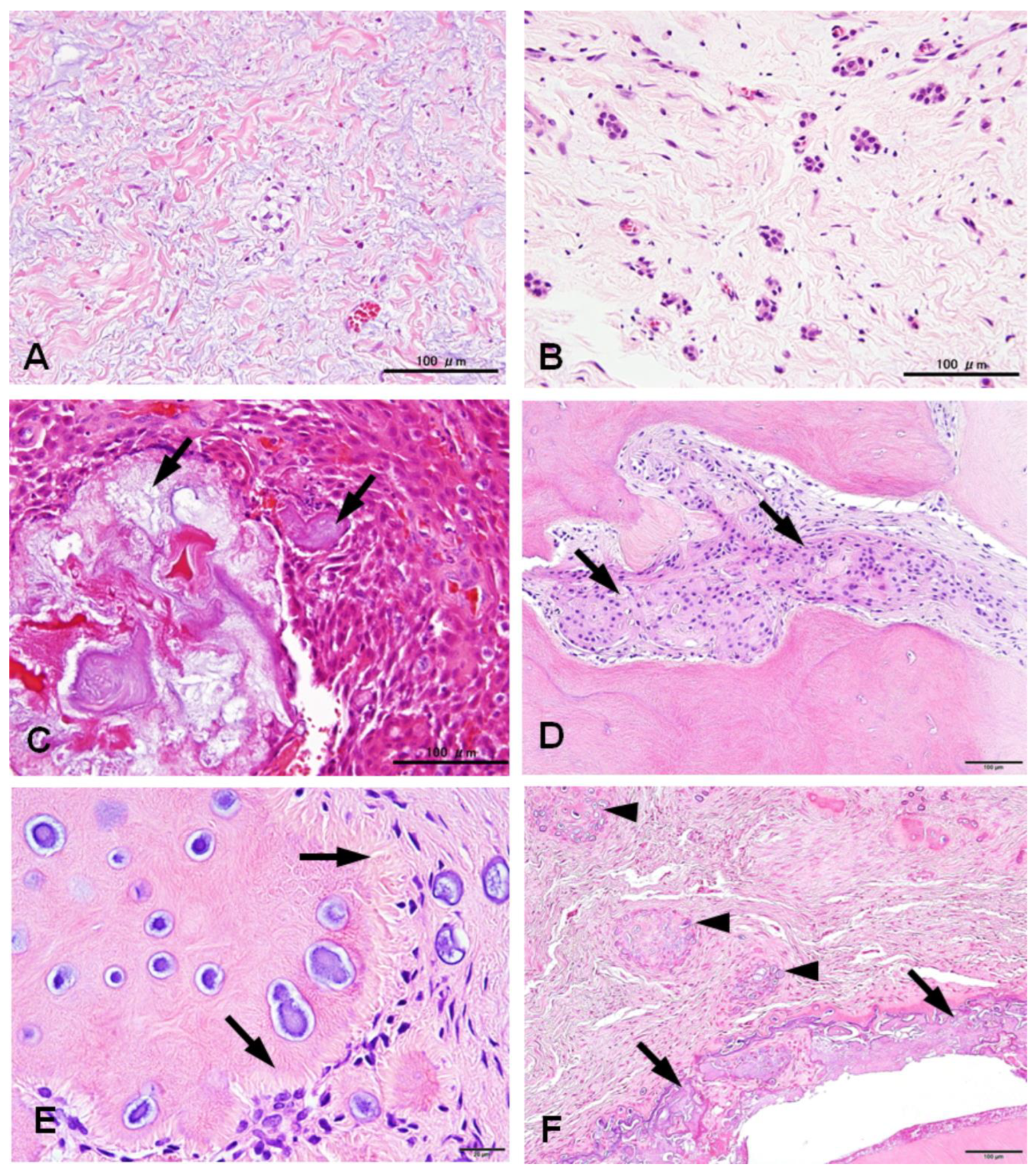 Preprints 92903 g002