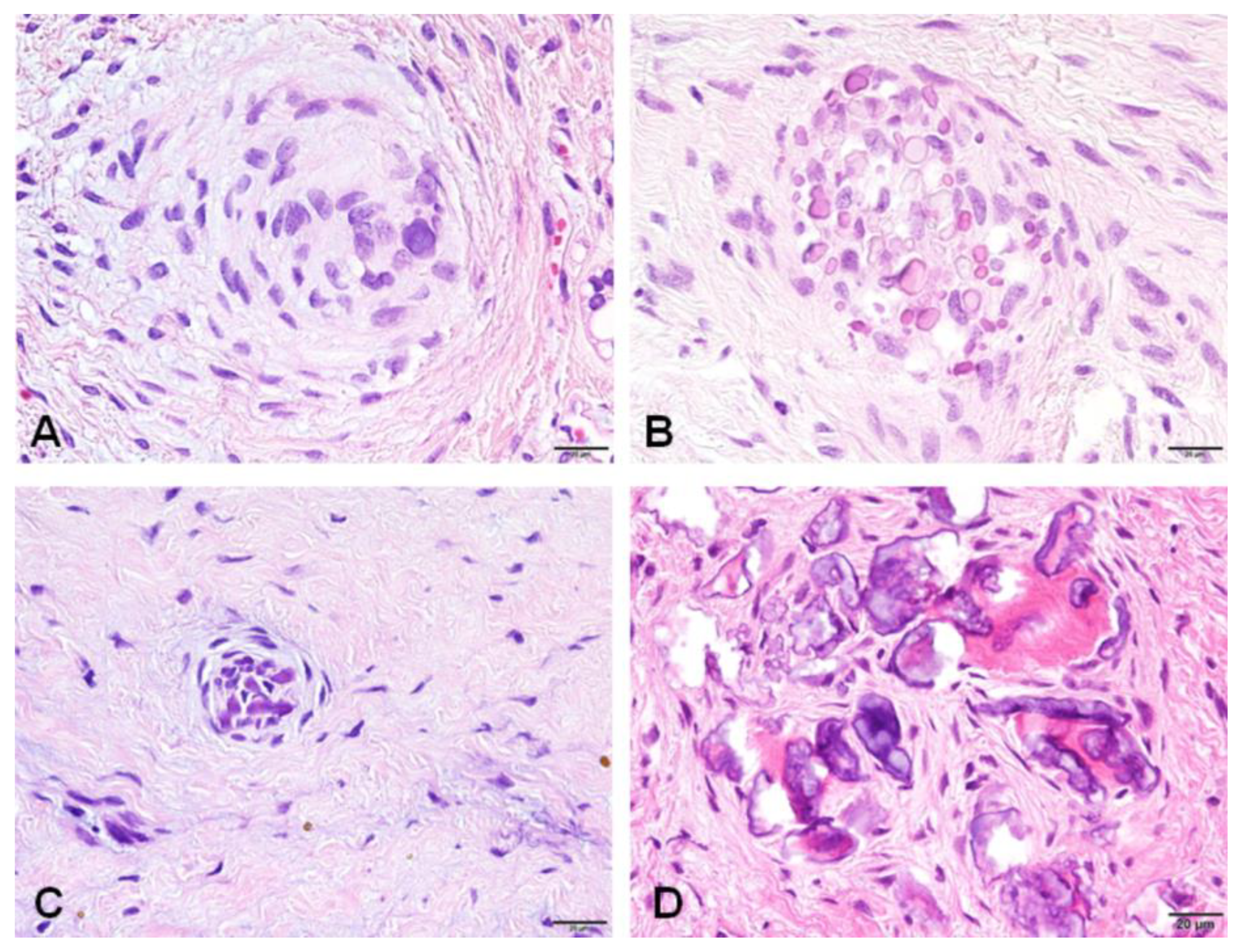 Preprints 92903 g003