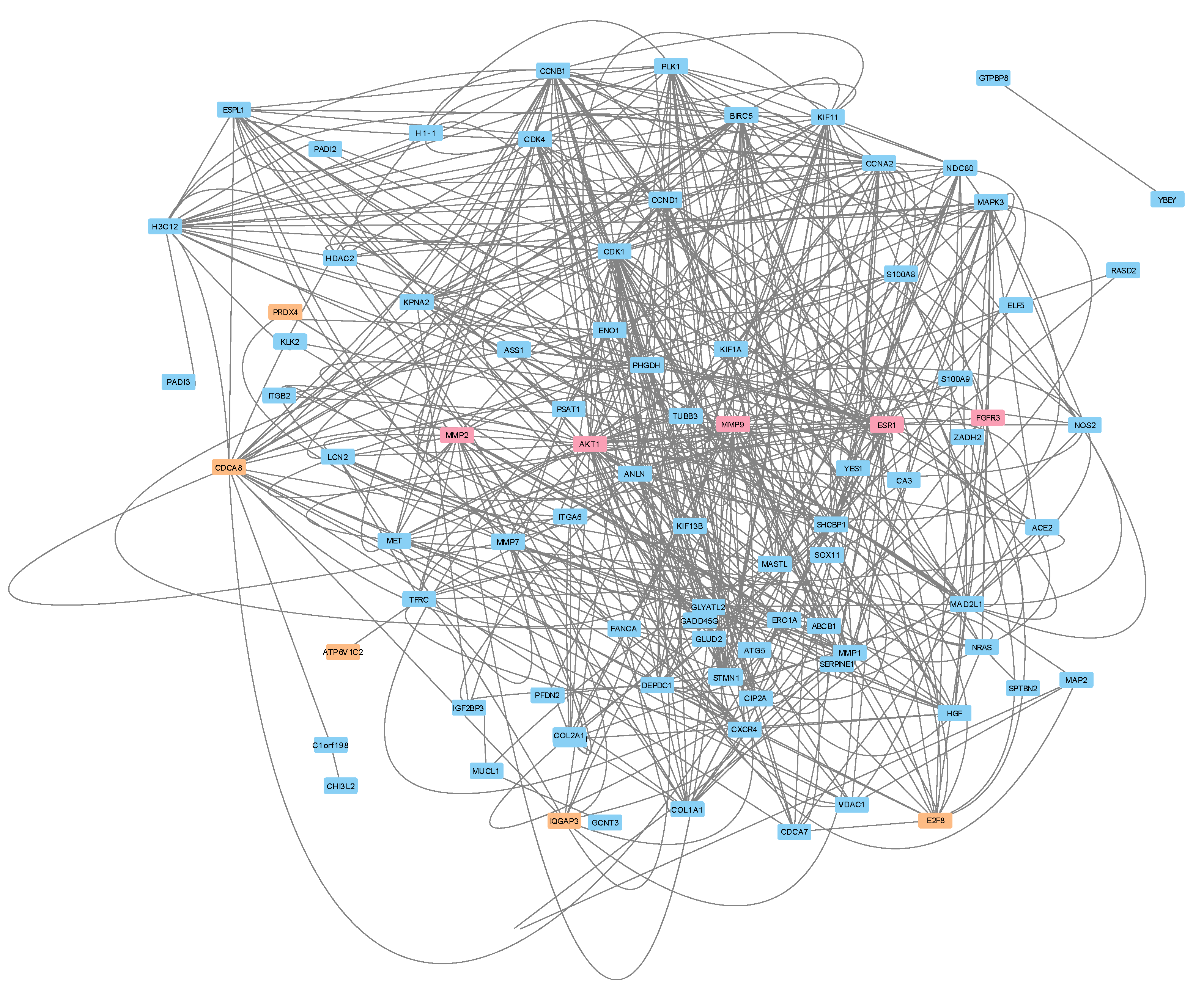 Preprints 106235 g004