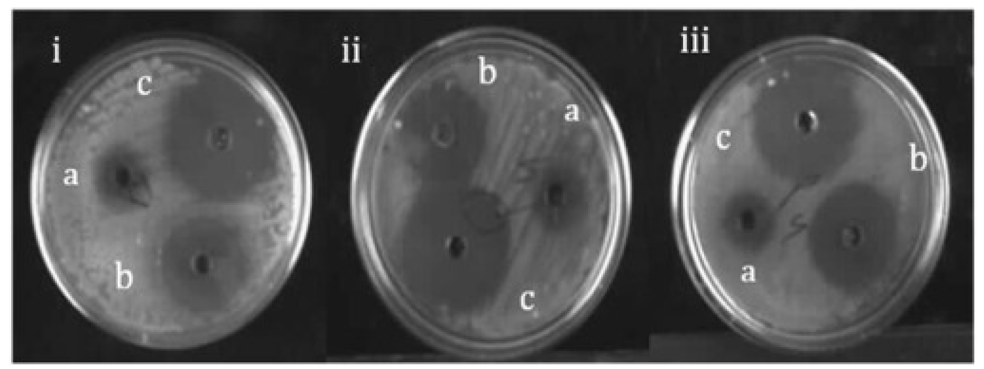 Preprints 67522 g005