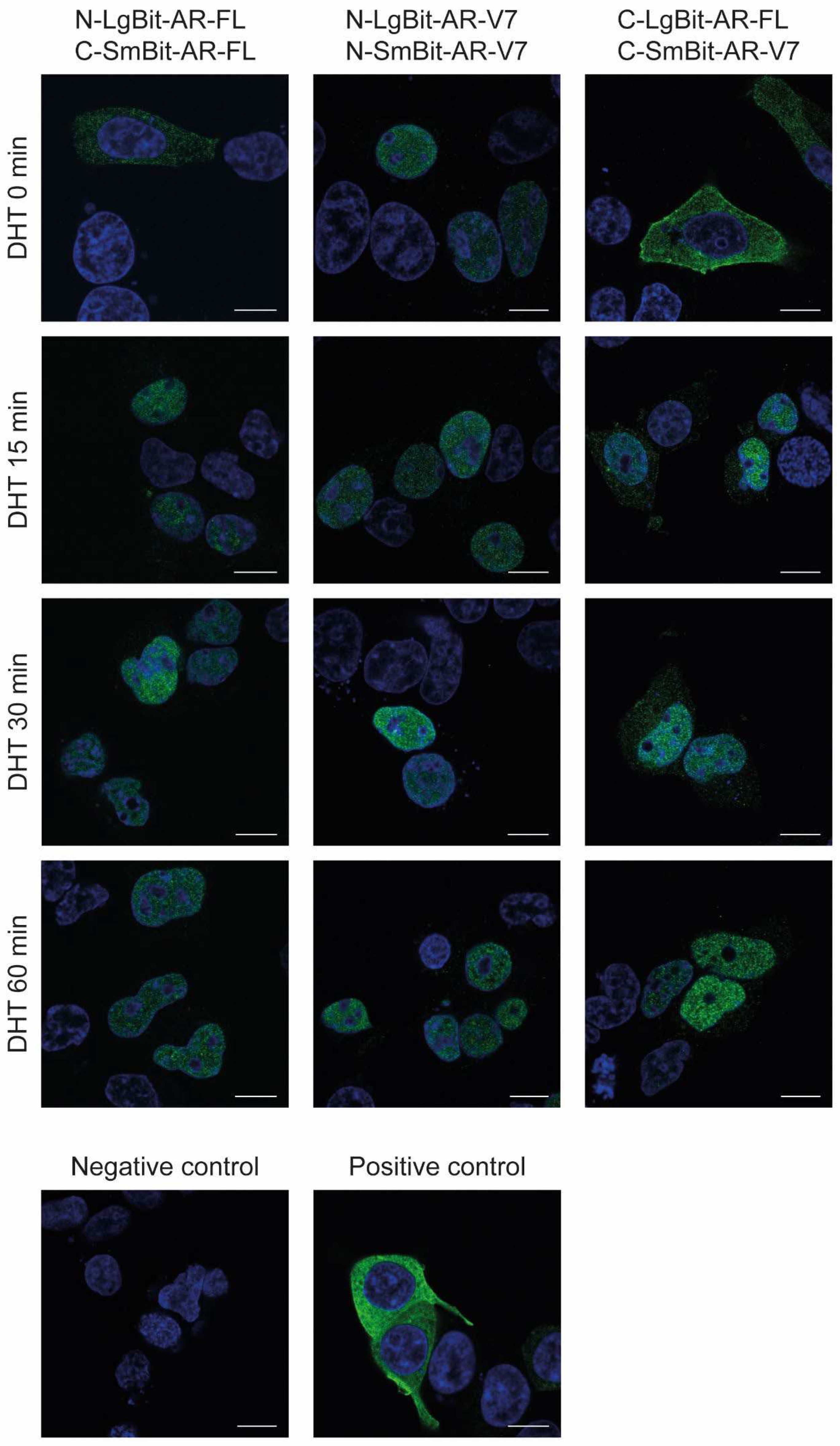 Preprints 70925 g003