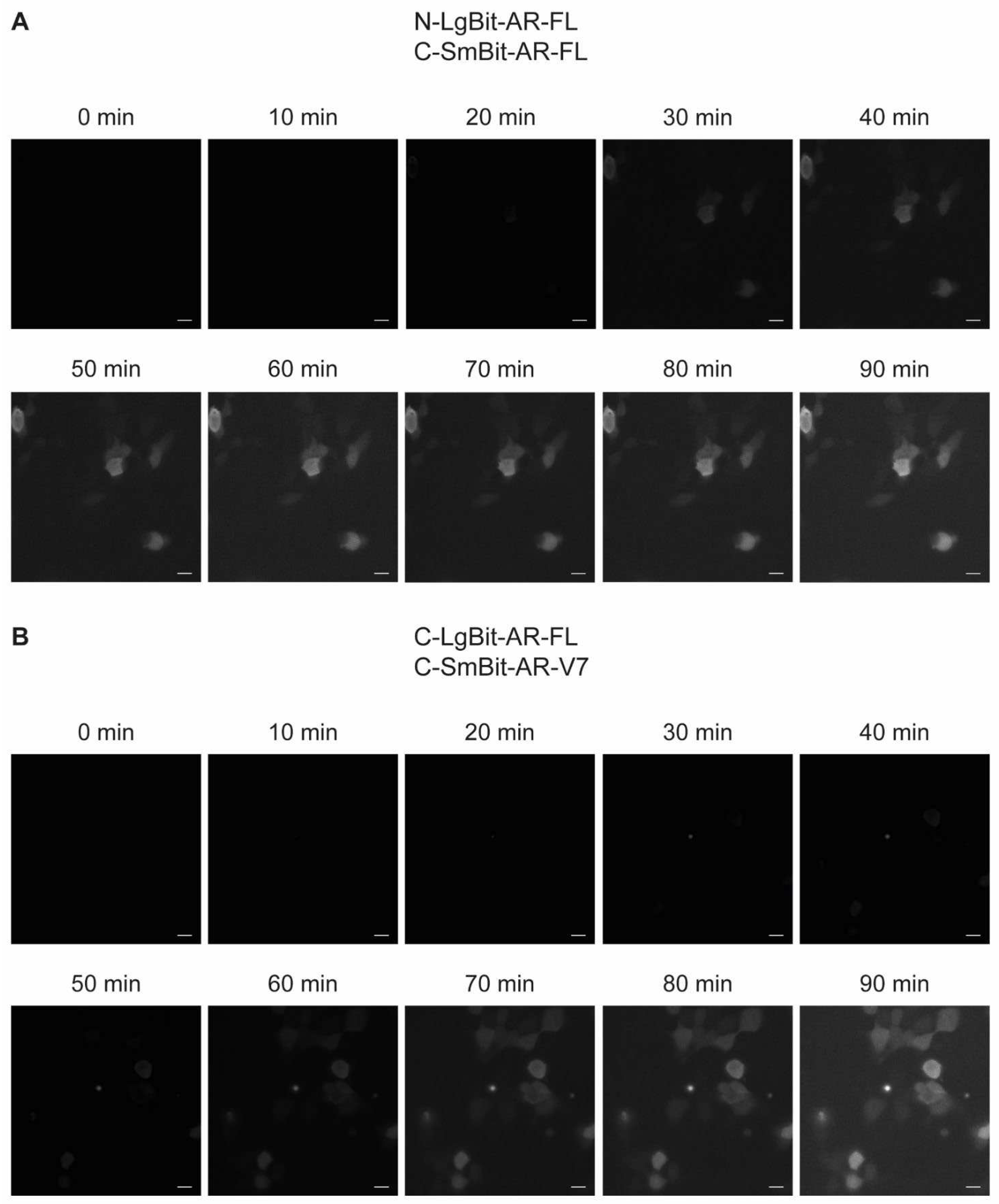 Preprints 70925 g004