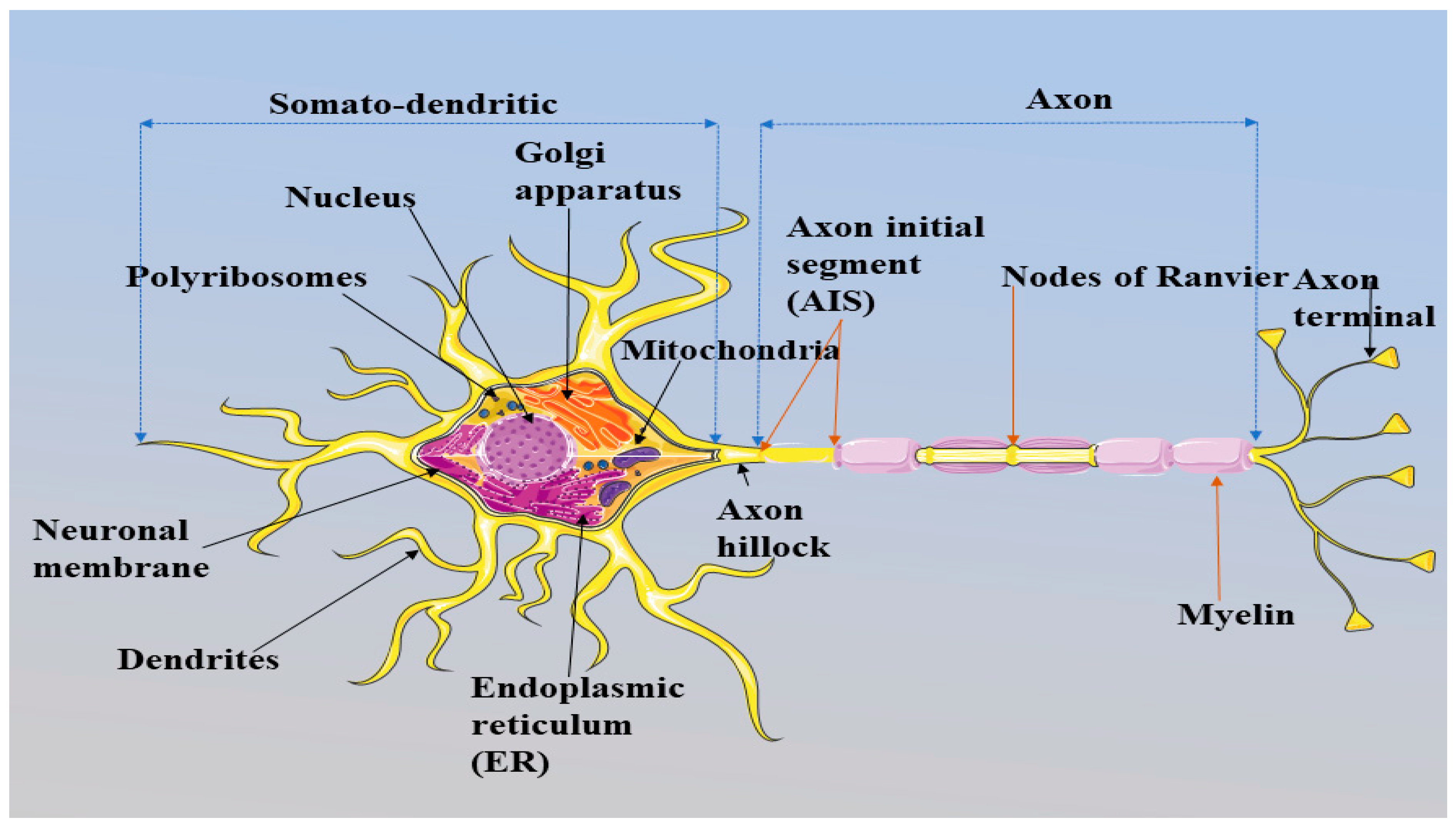 Preprints 120915 g001