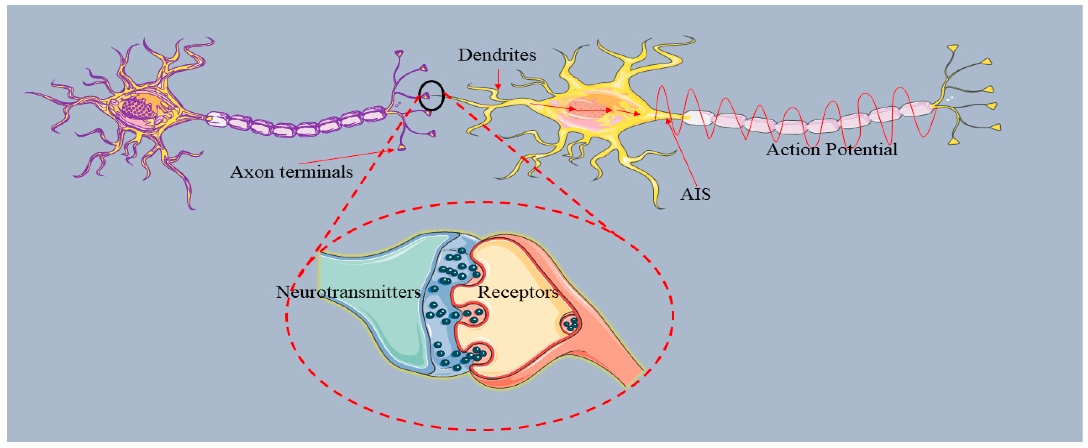 Preprints 120915 g002