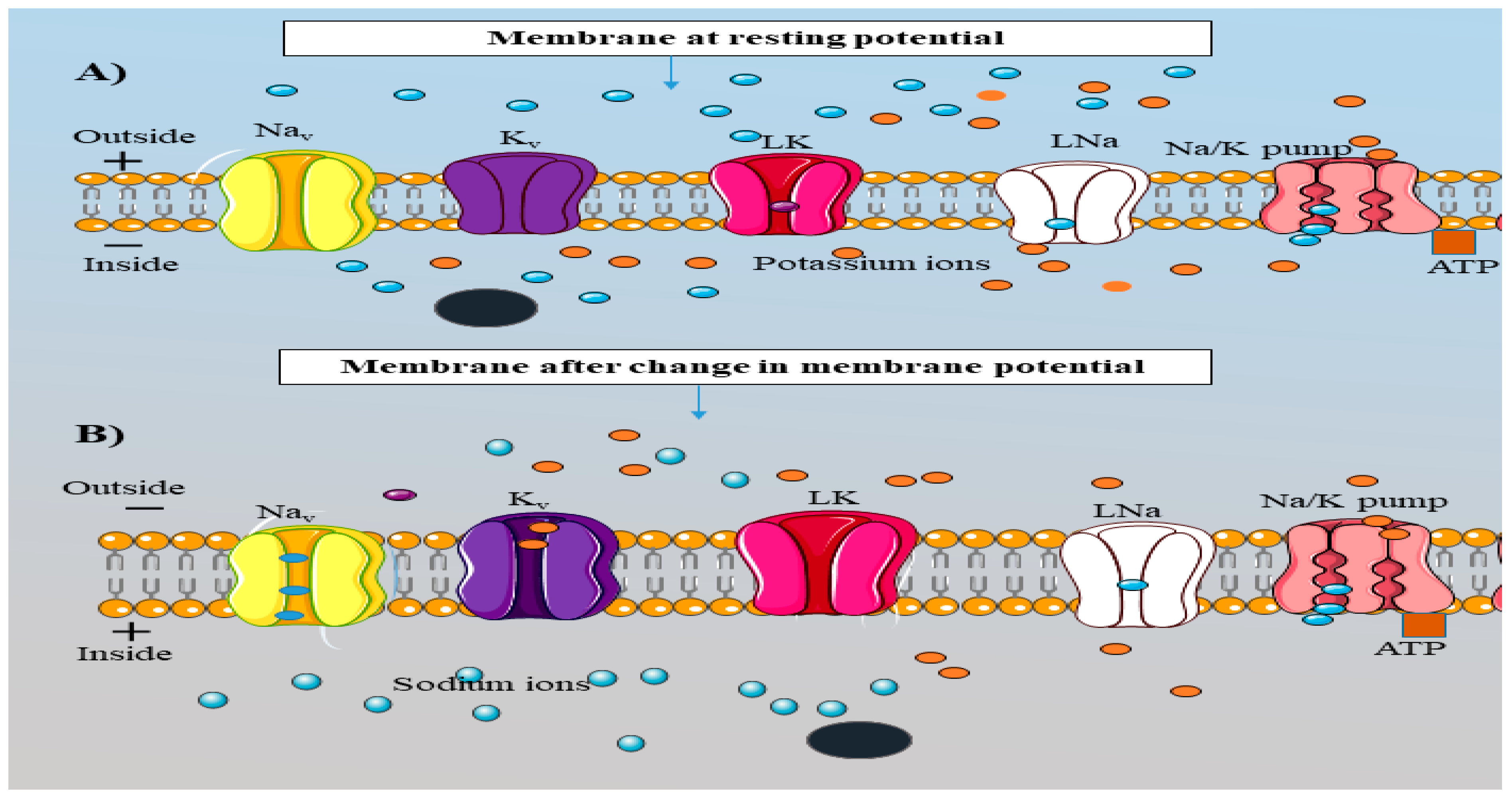 Preprints 120915 g003