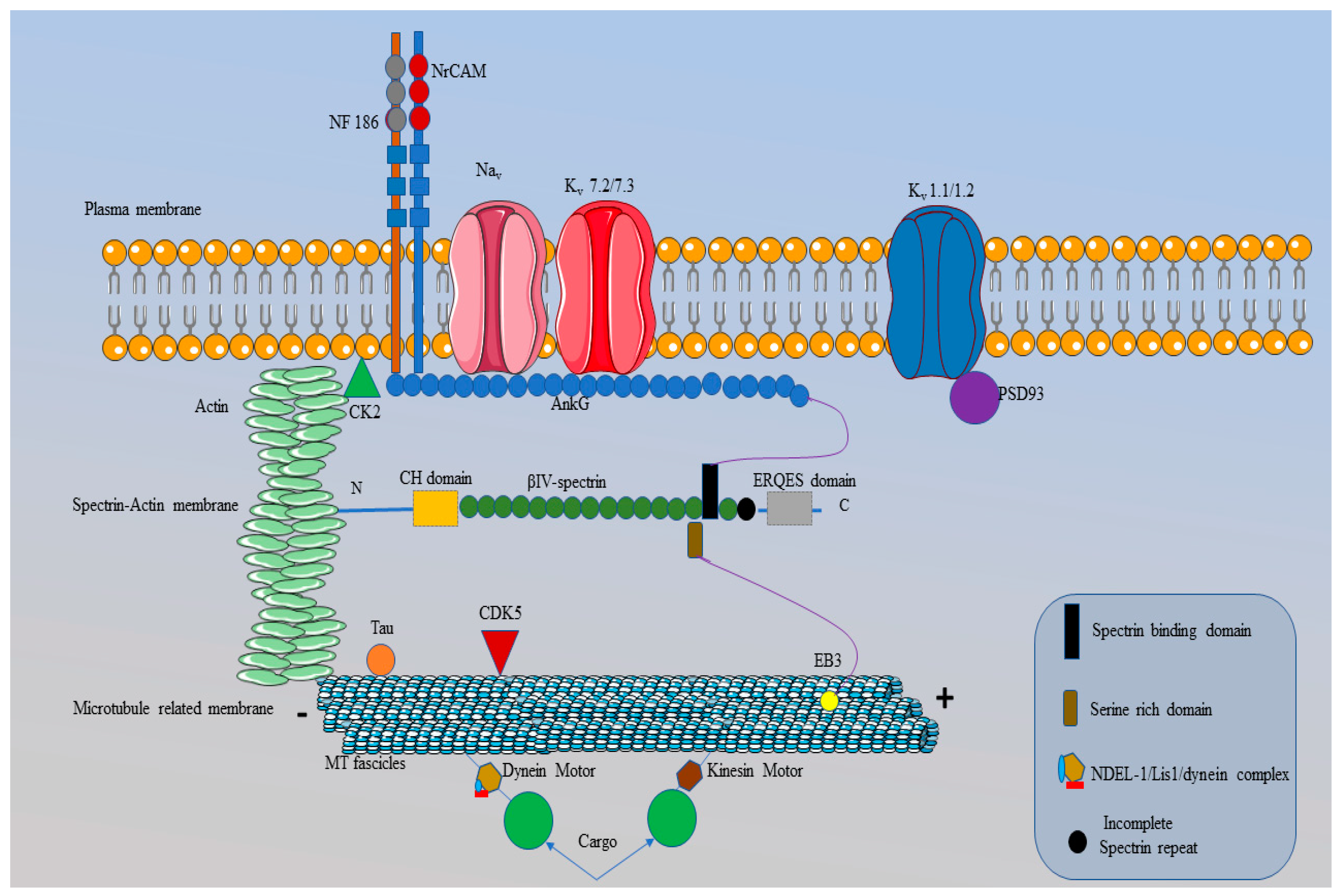 Preprints 120915 g004