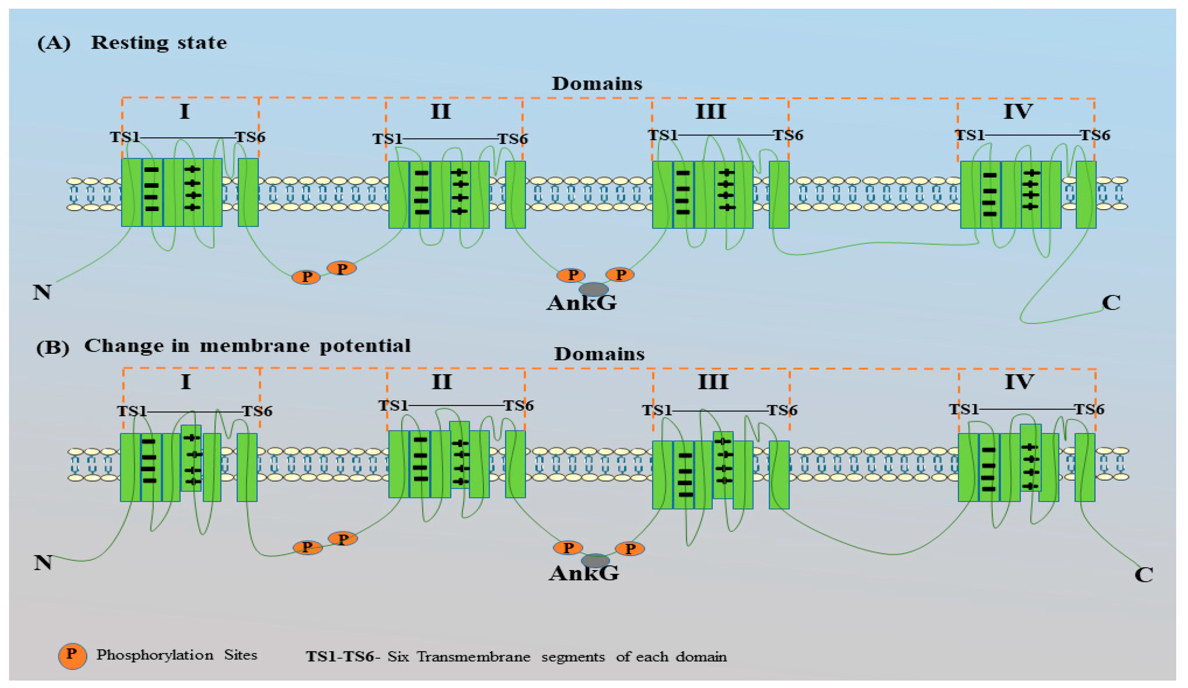 Preprints 120915 g006