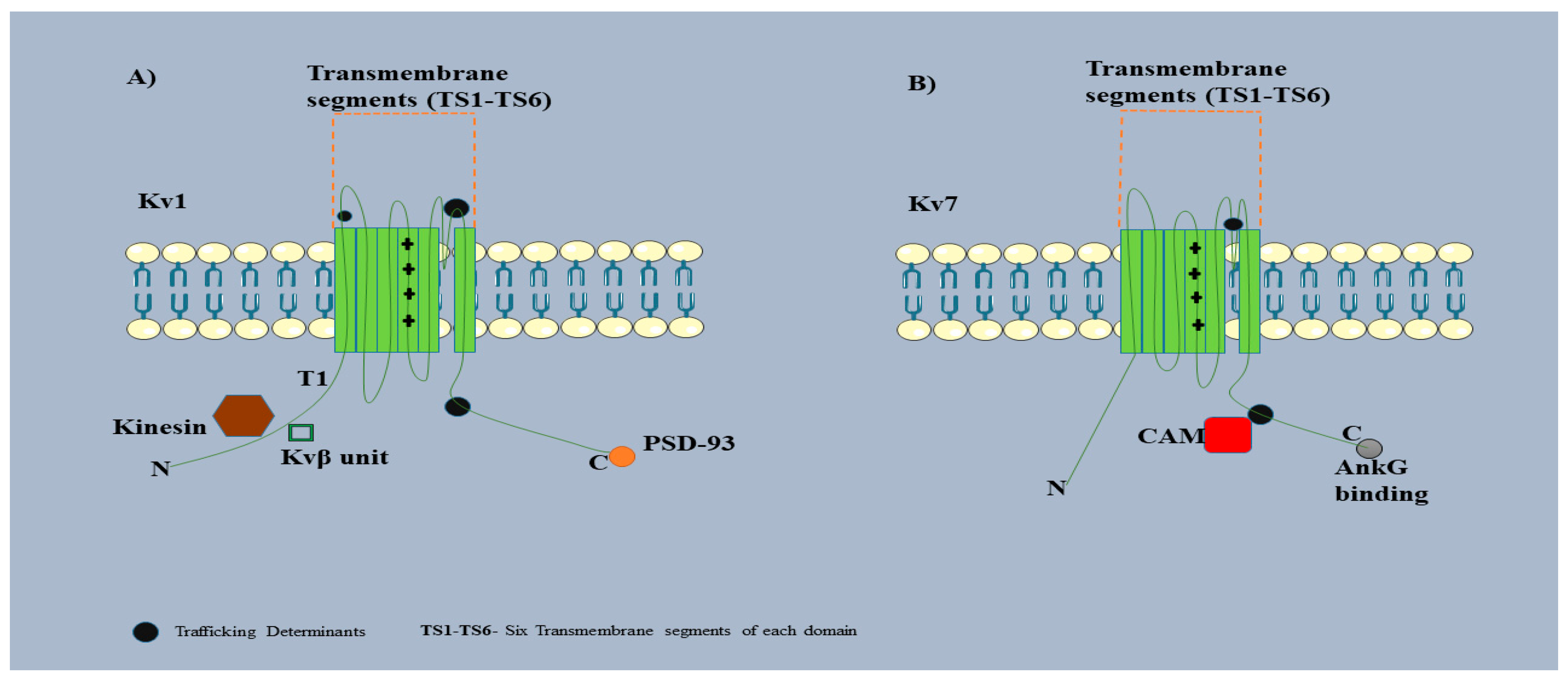 Preprints 120915 g008