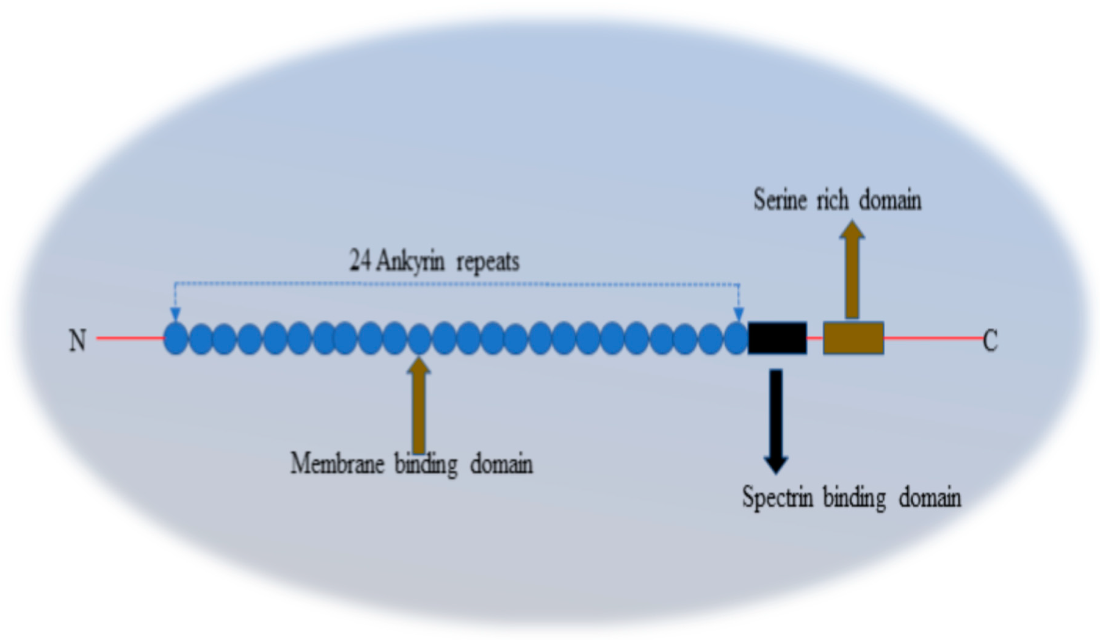 Preprints 120915 g010